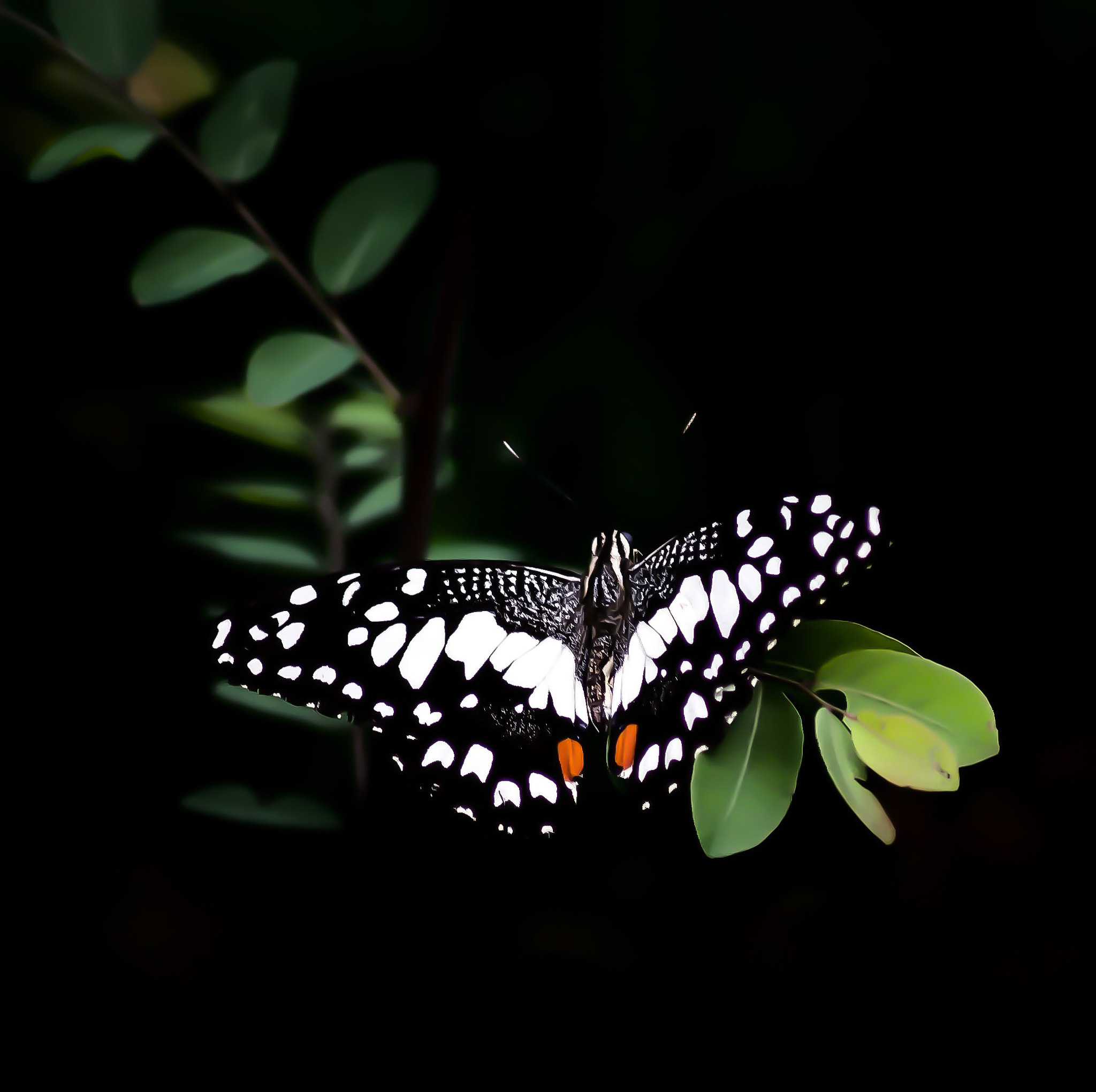 Canon EOS 5D sample photo