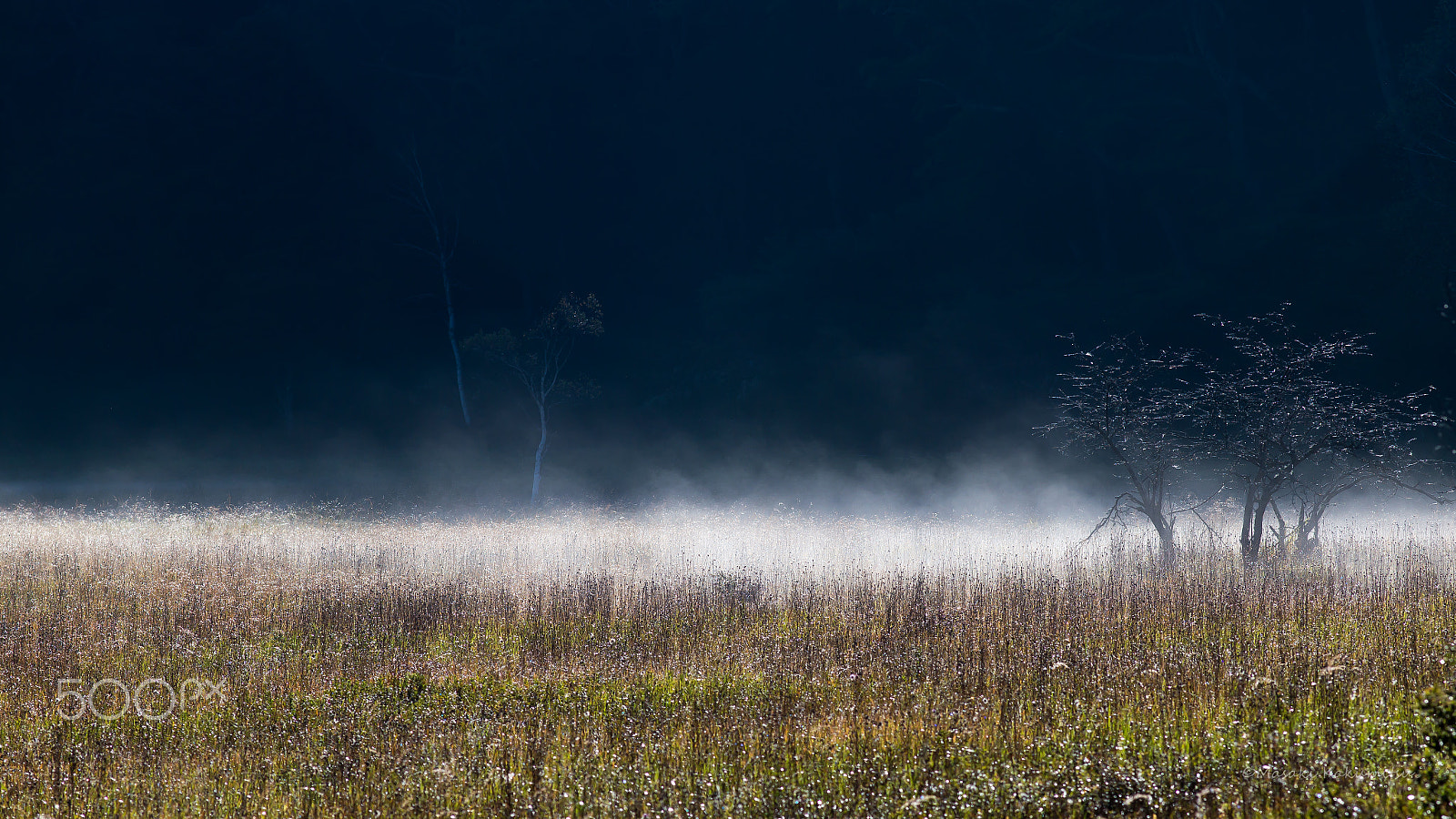 Canon EOS 6D + Canon EF 200mm f/2.8L sample photo. The shadow of the shadow photography