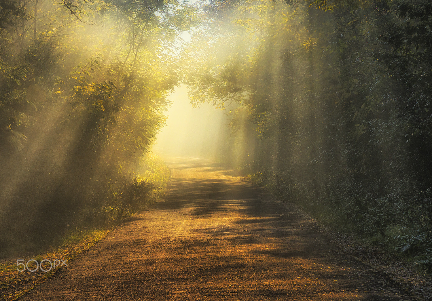 Sony Alpha DSLR-A580 + Sigma 18-200mm F3.5-6.3 DC sample photo. Lights of the road photography