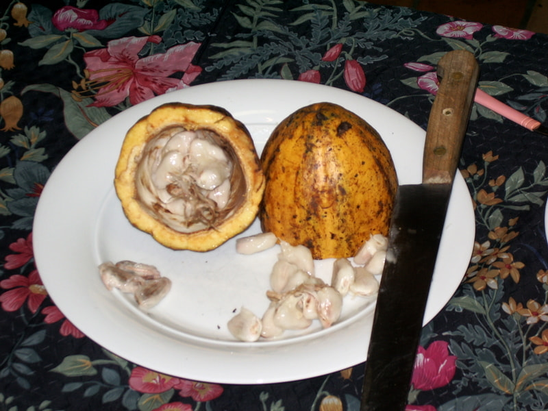 Pentax OPTIO S50 sample photo. Frutas bahia brasil photography