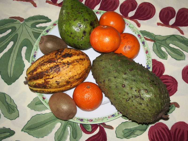 Pentax OPTIO S50 sample photo. Frutas bahia brasil photography