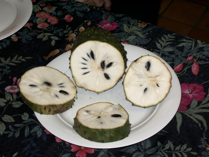 Pentax OPTIO S50 sample photo. Frutas bahia brasil photography