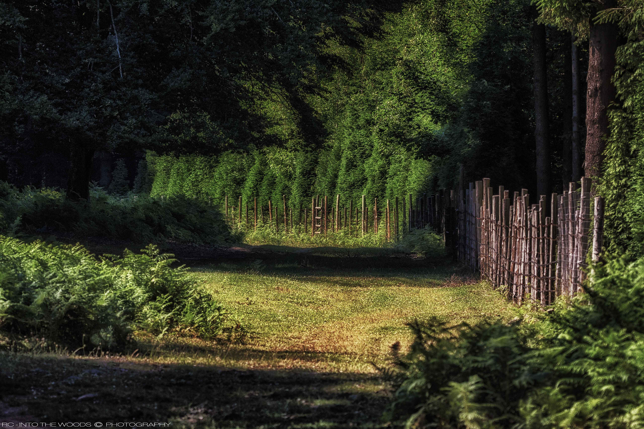 150-600mm F5-6.3 DG OS HSM | Sports 014 sample photo. Fences photography
