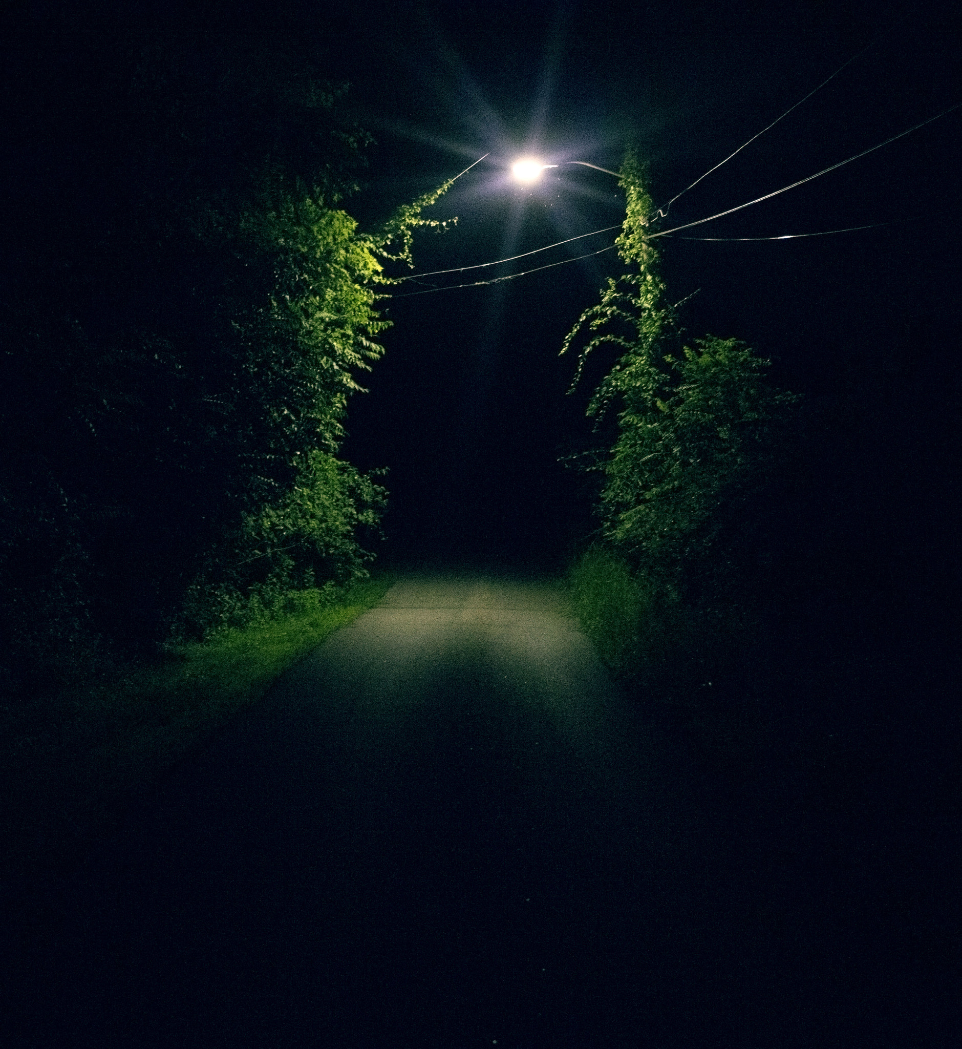 Canon EF 40mm F2.8 STM sample photo. Night light photography