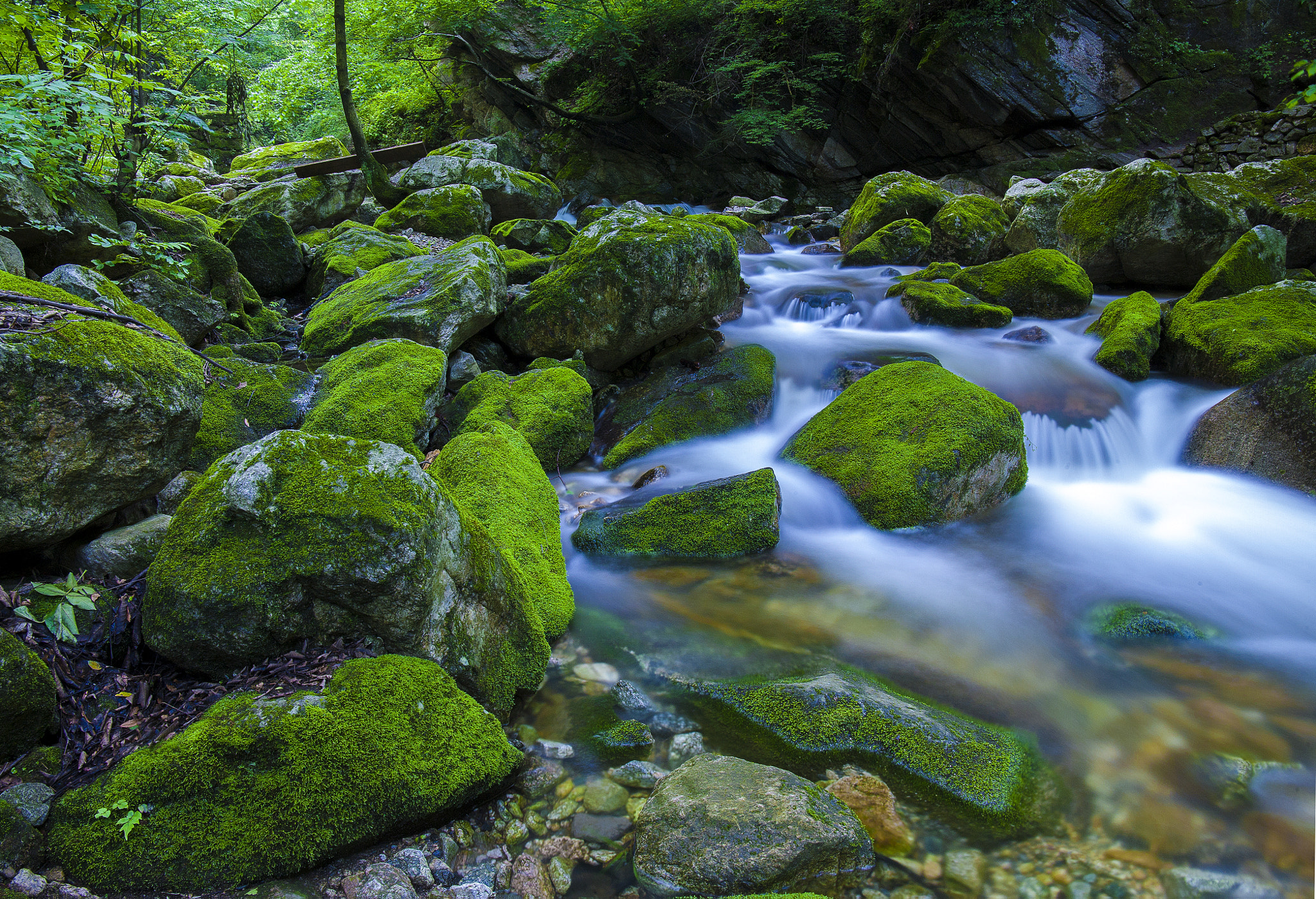 Canon EF 24-105mm F3.5-5.6 IS STM sample photo