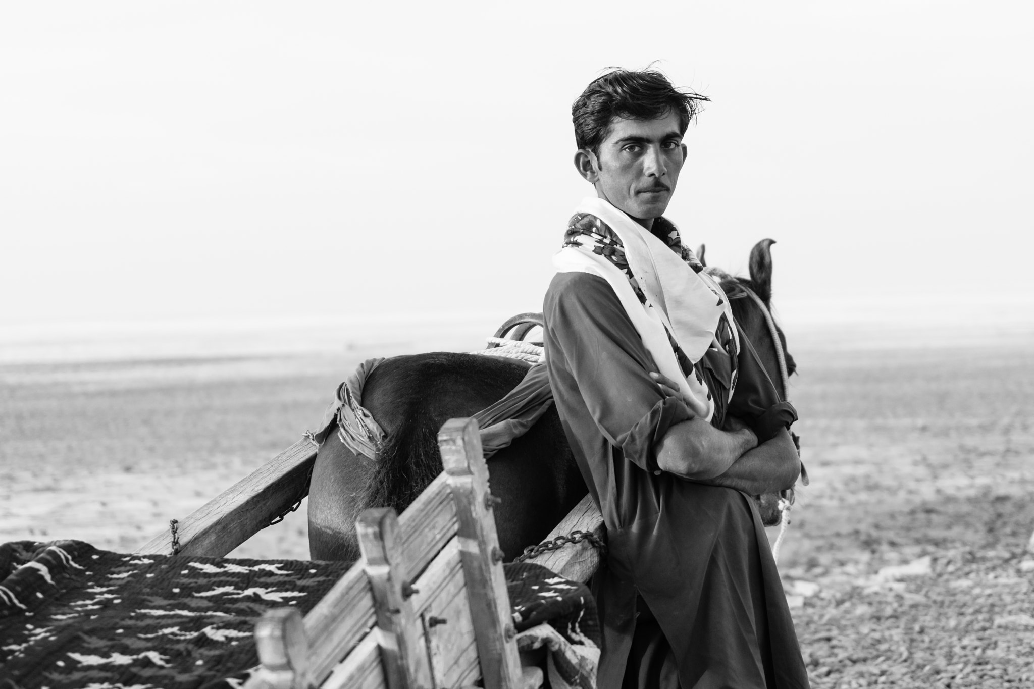 Sony 70-300mm F4.5-5.6 G SSM sample photo. Young man with horse and cart portrait photography
