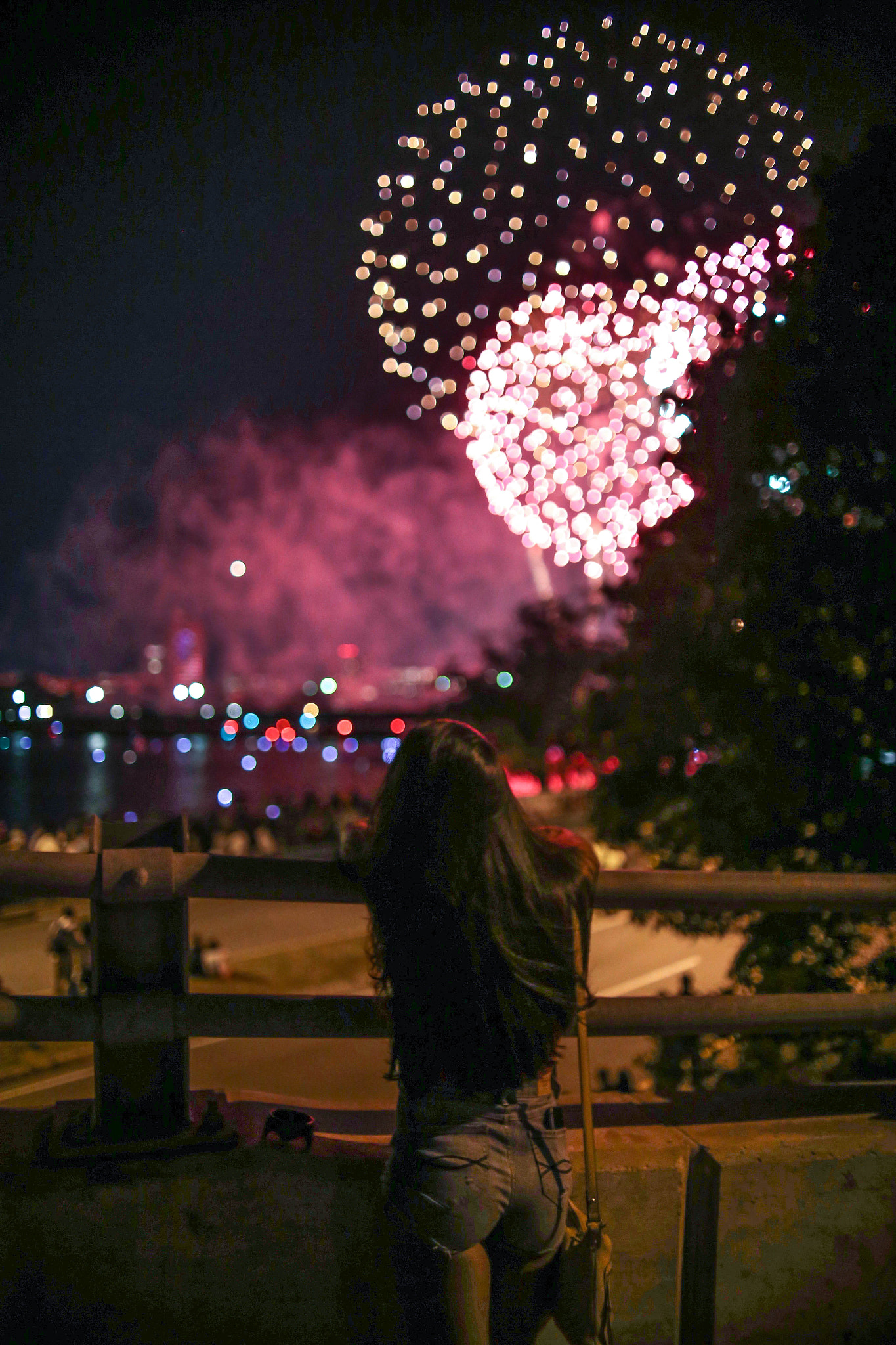 Sigma 30mm F1.4 EX DC HSM sample photo. Boston fireworks photography