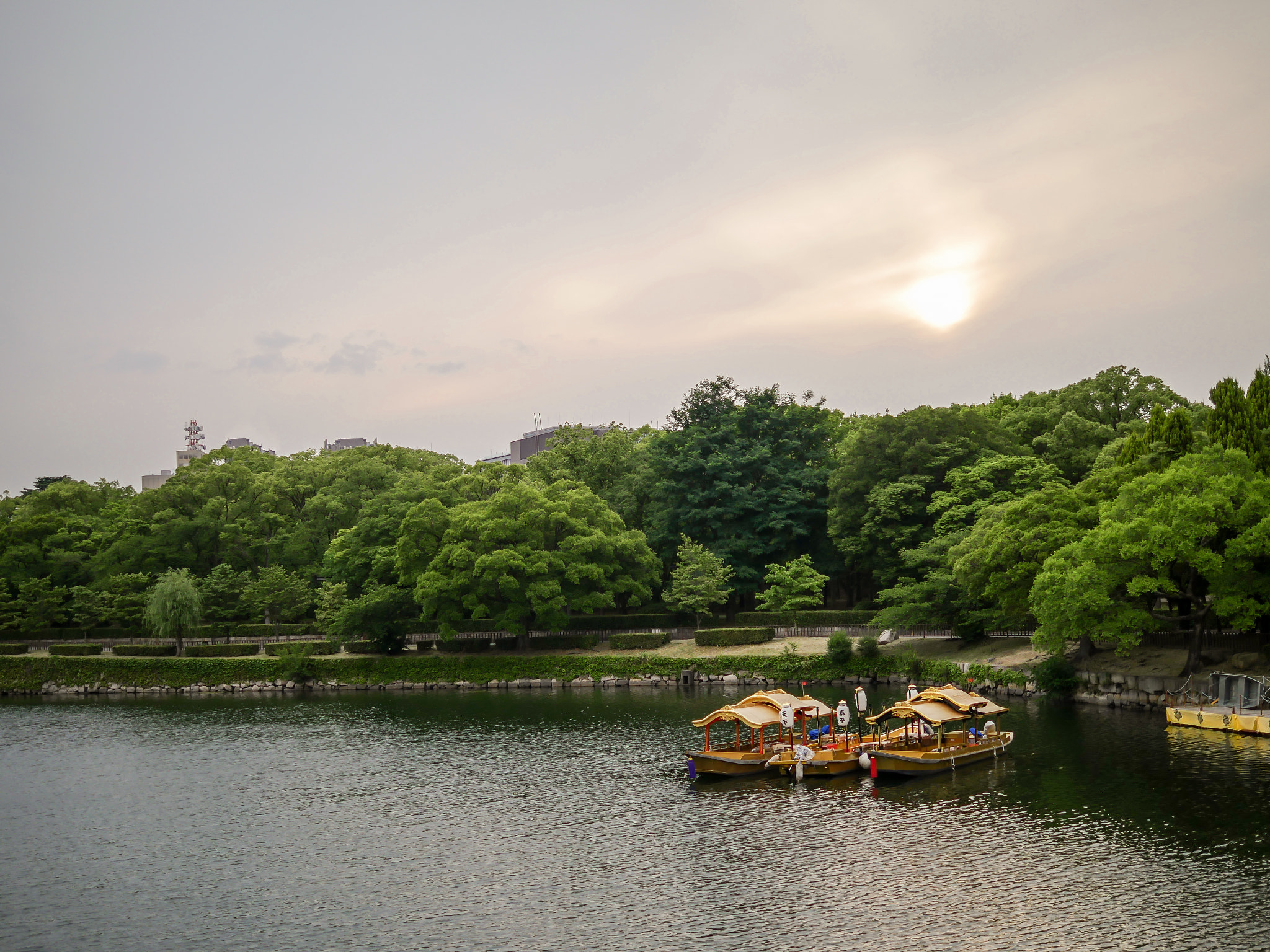 Panasonic Lumix DMC-GX8 + Panasonic Leica DG Summilux 25mm F1.4 II ASPH sample photo. Twins in water photography