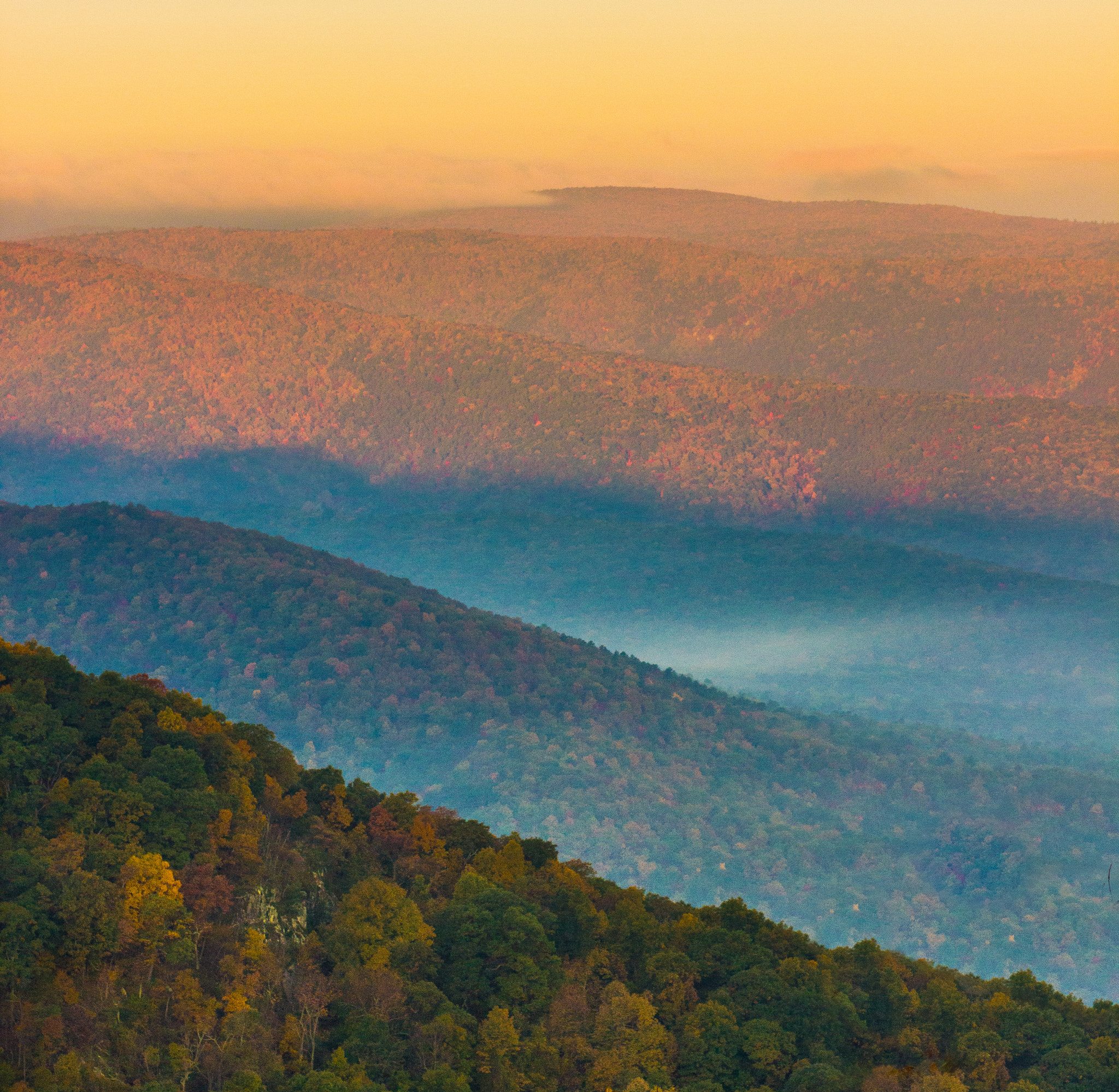 Canon EF 85mm F1.8 USM sample photo. Early autumn light in the blue ridge photography