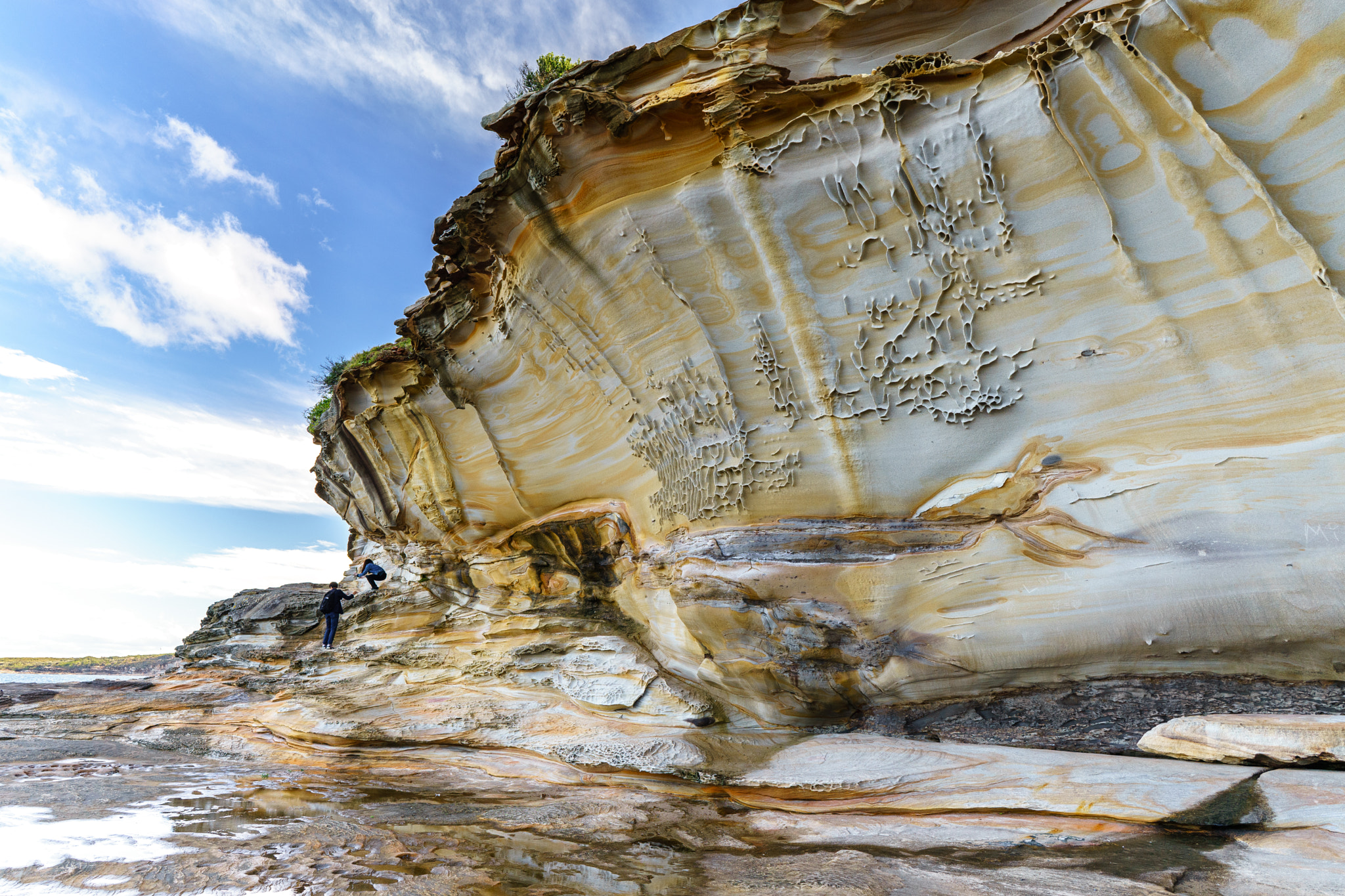 Sony a7 II + ZEISS Batis 25mm F2 sample photo. Bare island (la perouse) photography