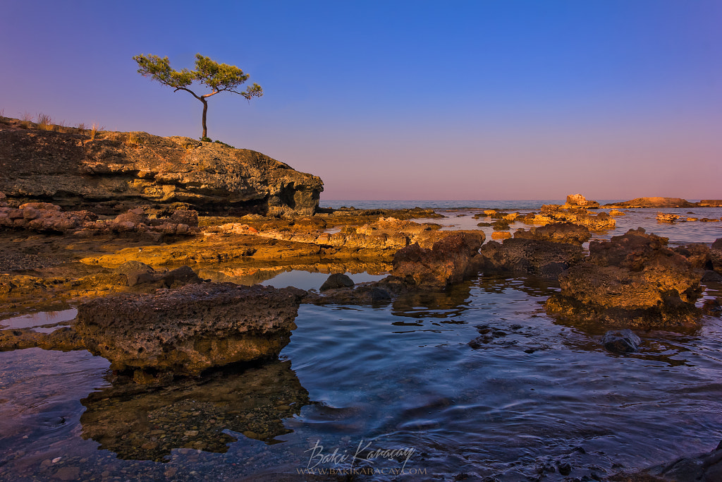 Phaselis doğal plajı