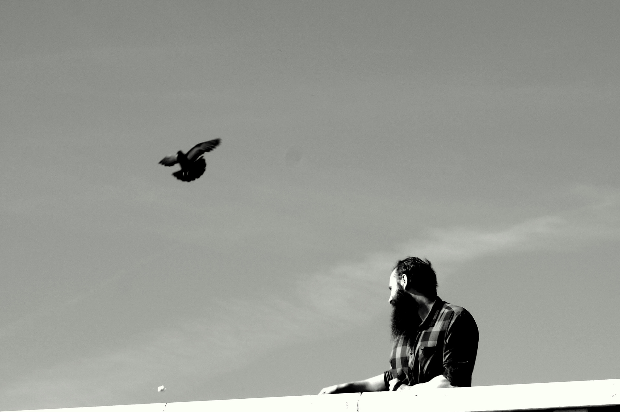 Tamron SP 70-300mm F4-5.6 Di USD sample photo. Bird and beard photography