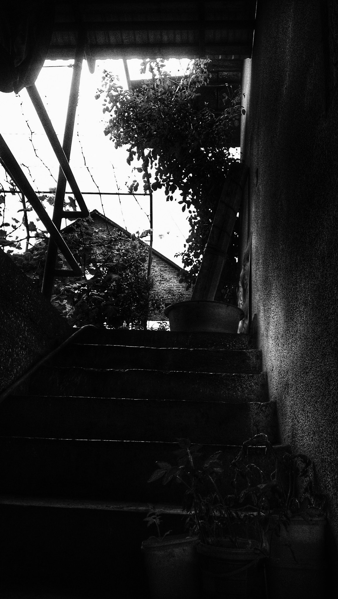HTC ONE X sample photo