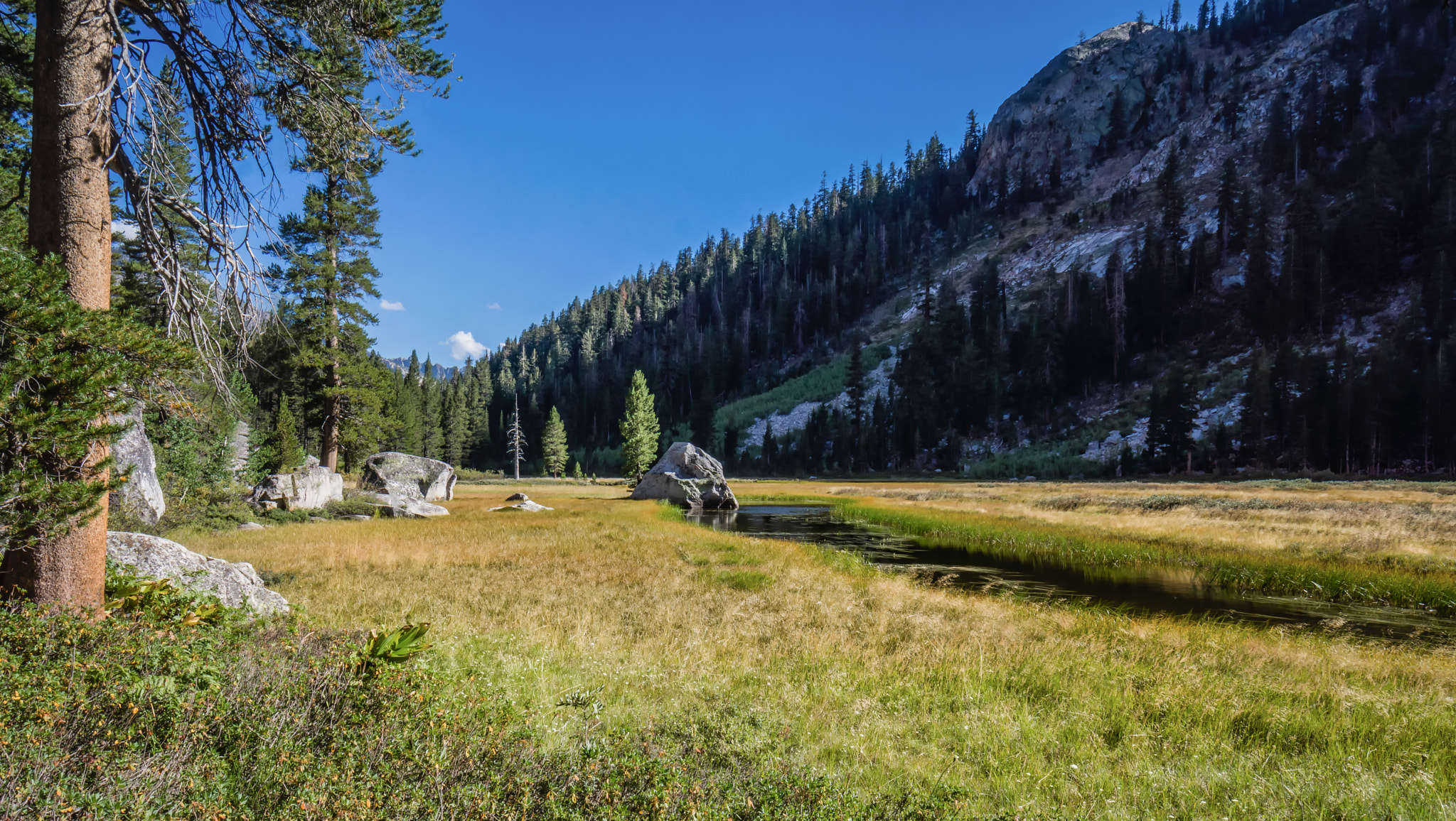 Sony Alpha NEX-7 + Sony E 10-18mm F4 OSS sample photo. Overrun meadow photography