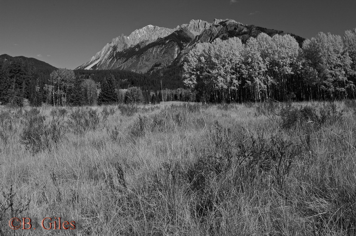 Pentax K20D sample photo. Mountain meadow photography