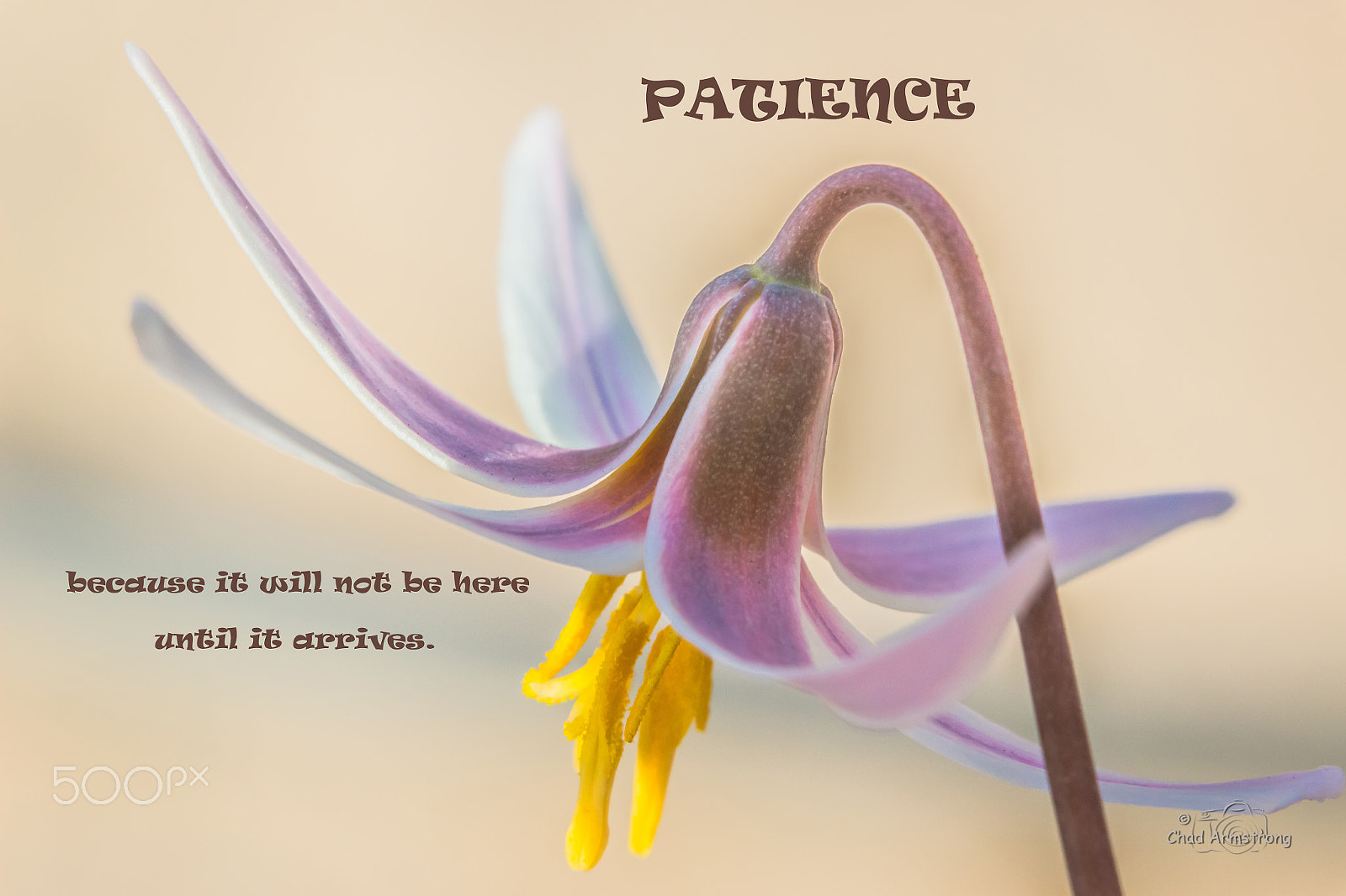 Canon EOS 100D (EOS Rebel SL1 / EOS Kiss X7) sample photo. Sayings photography