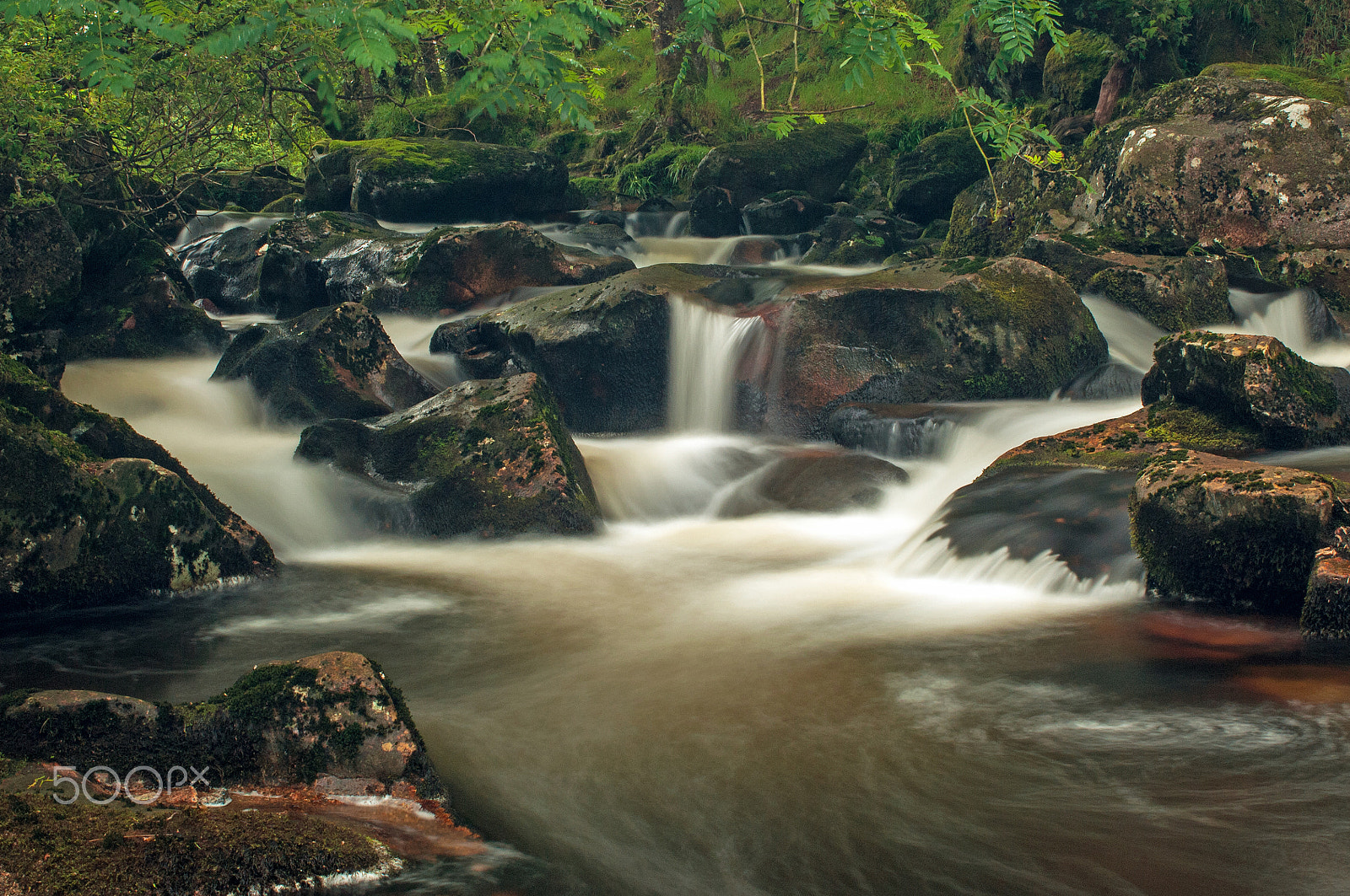 Nikon D2X sample photo. Cadover photography