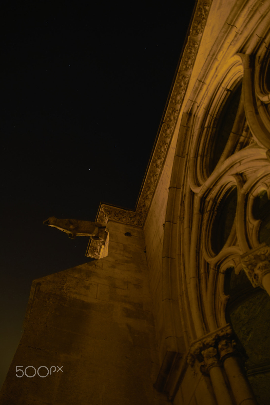 Sigma SD14 sample photo. Gargouille et nuit photography