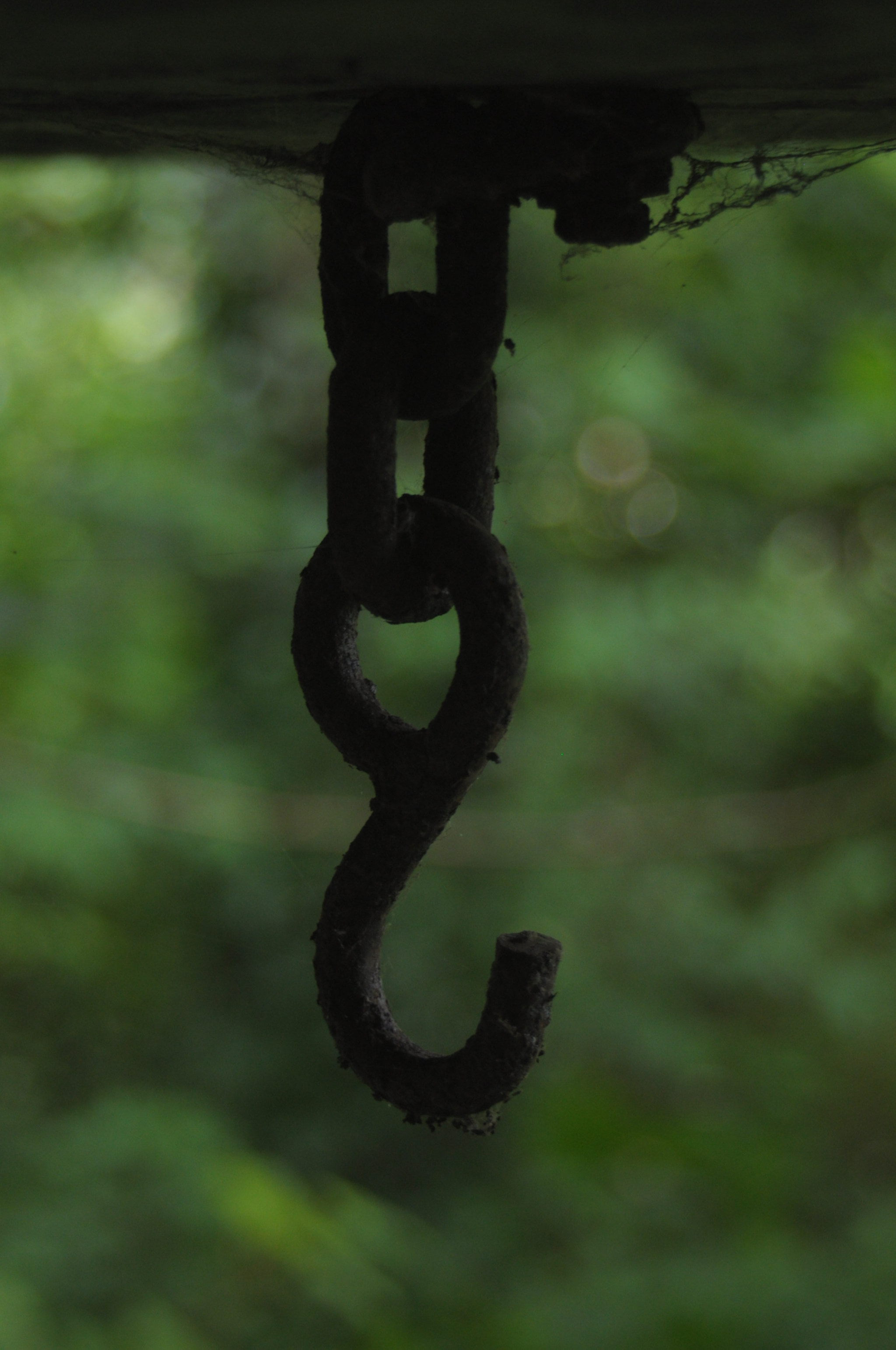Sigma 35-80mm F4-5.6 sample photo. Hang photography