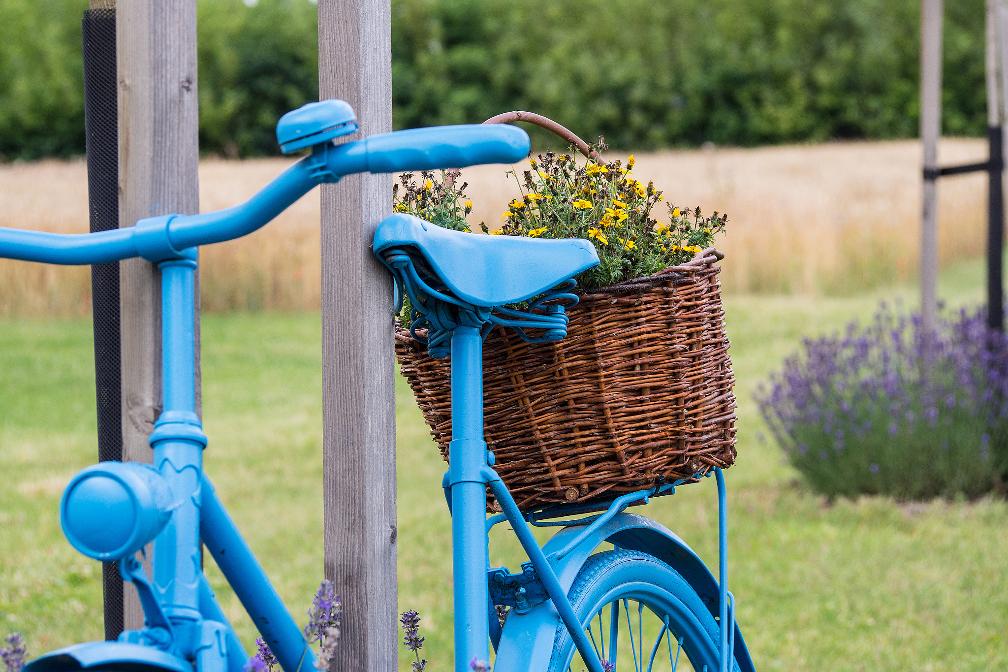 Olympus PEN E-PL5 sample photo. Blue bike photography