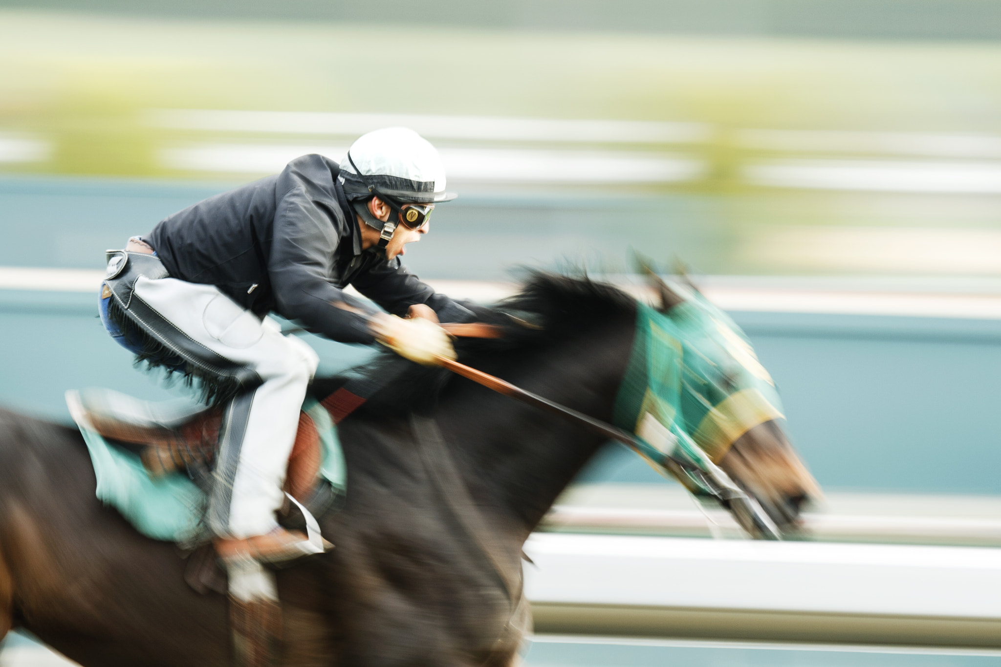 Canon EF 100-400mm F4.5-5.6L IS USM sample photo. Full gallop photography