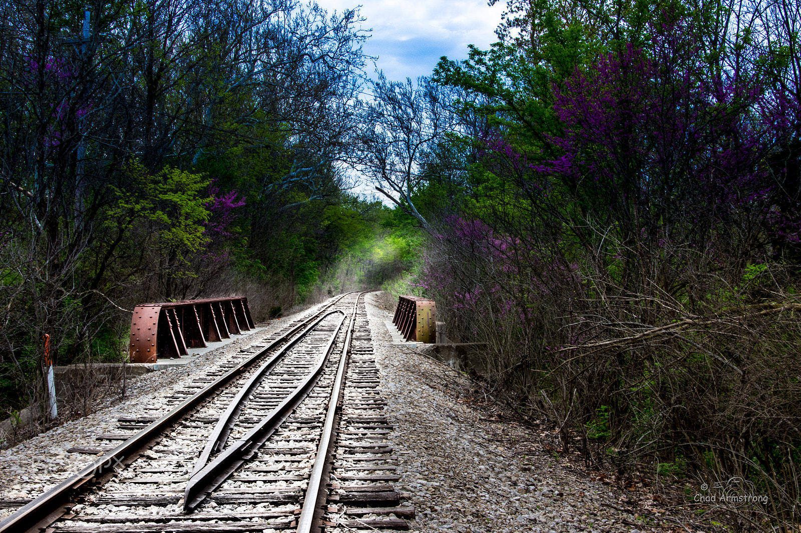 Canon EOS 100D (EOS Rebel SL1 / EOS Kiss X7) sample photo. Train tracks photography