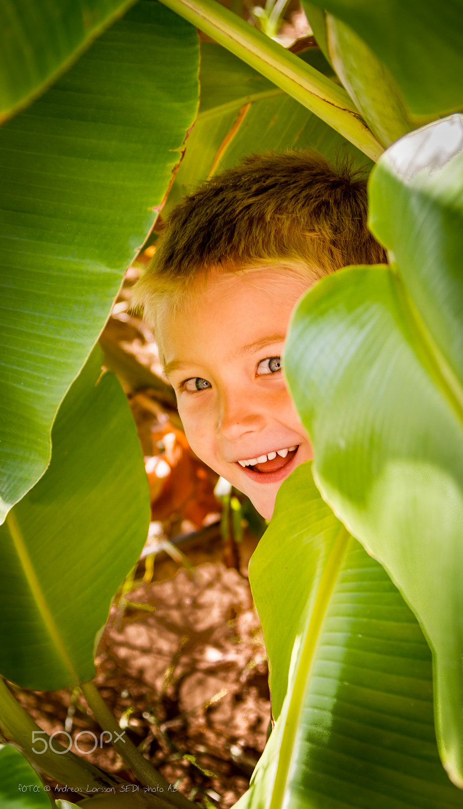 Canon EF 28-300mm F3.5-5.6L IS USM sample photo. Boy in banana leaves photography