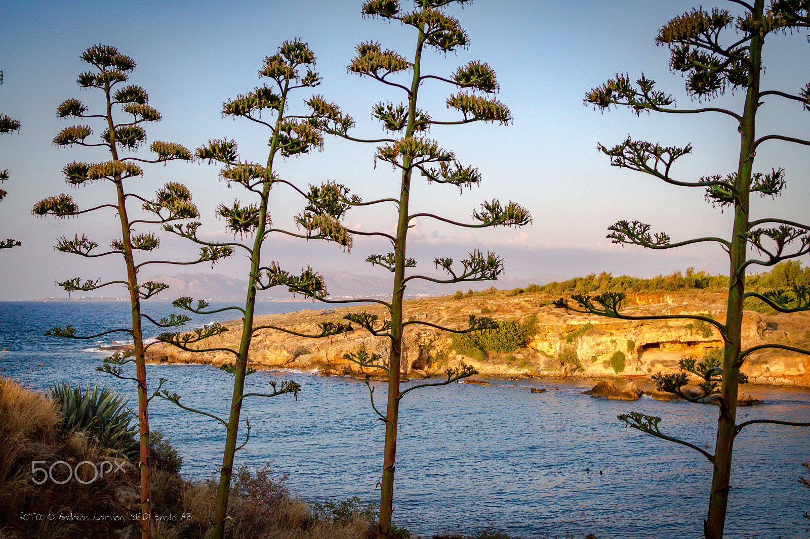 Canon EF 28-300mm F3.5-5.6L IS USM sample photo. Cliffs, trees and water photography