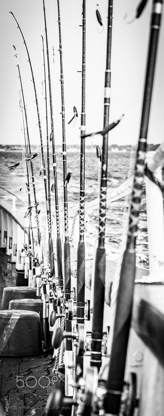 Canon EF 28-300mm F3.5-5.6L IS USM sample photo. Fishing rods photography