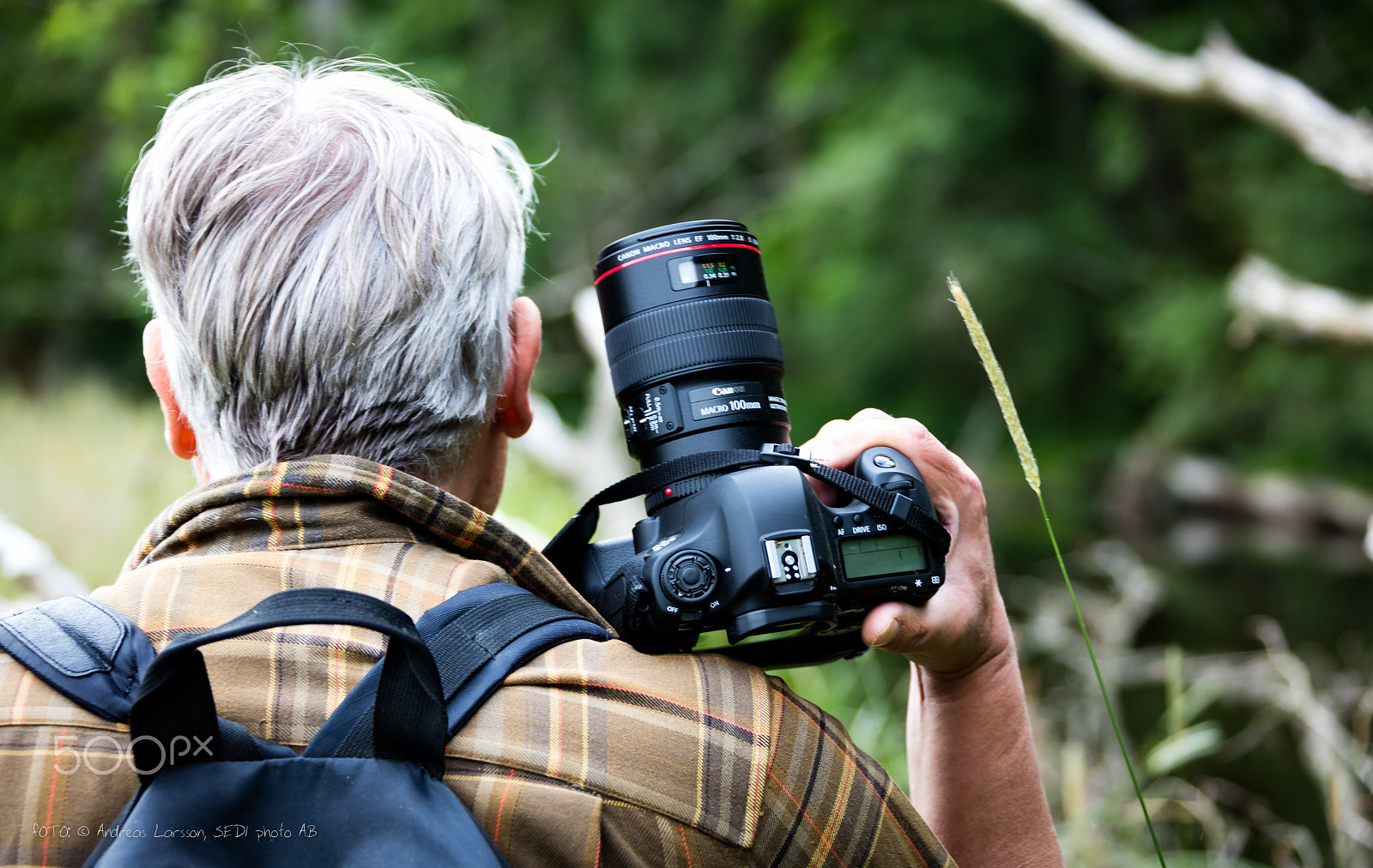 Canon EF 28-300mm F3.5-5.6L IS USM sample photo. Canon 6d on shoulder photography