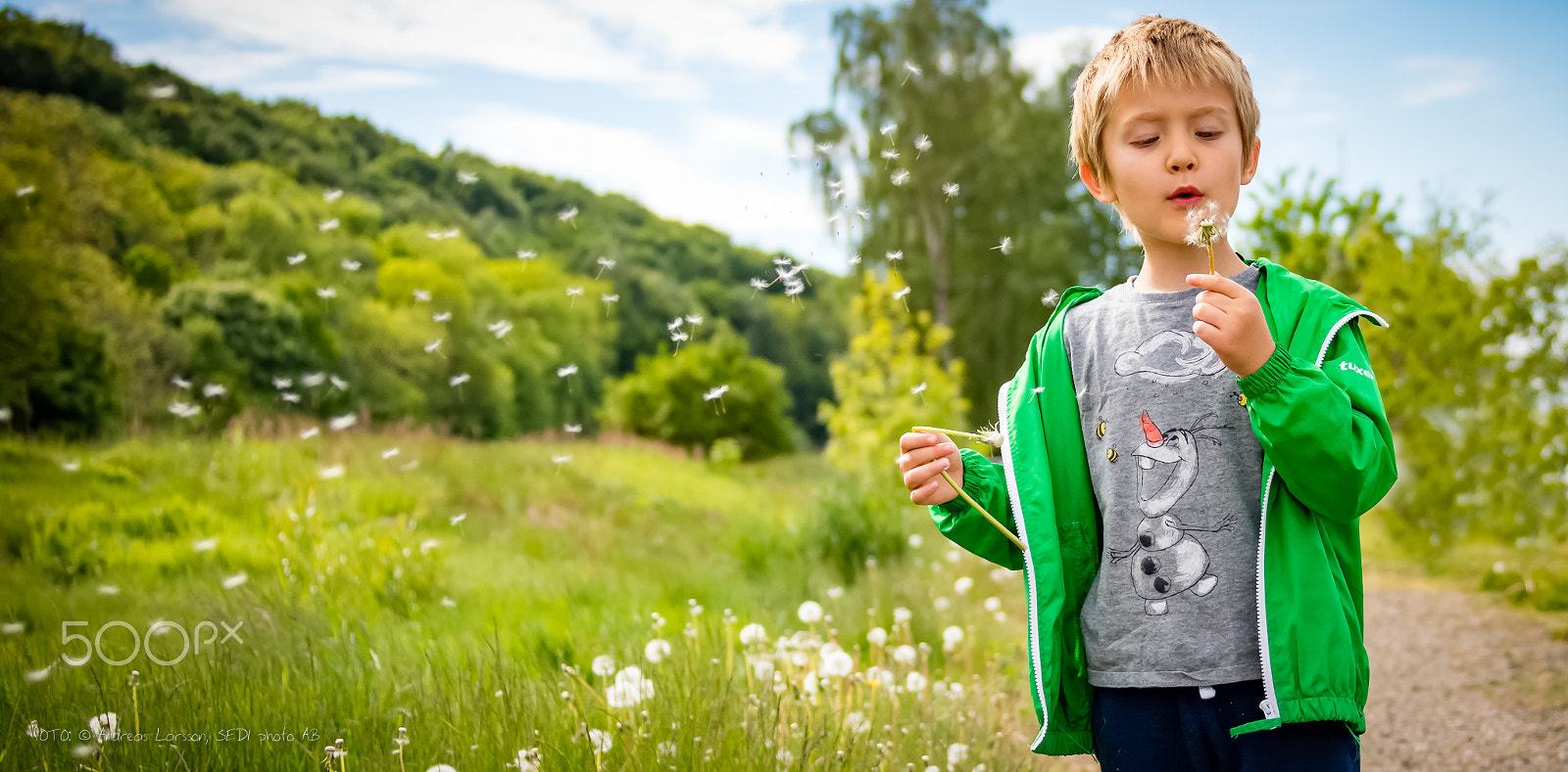 Canon EF 28-300mm F3.5-5.6L IS USM sample photo. Boy blowing dandelion seeds photography