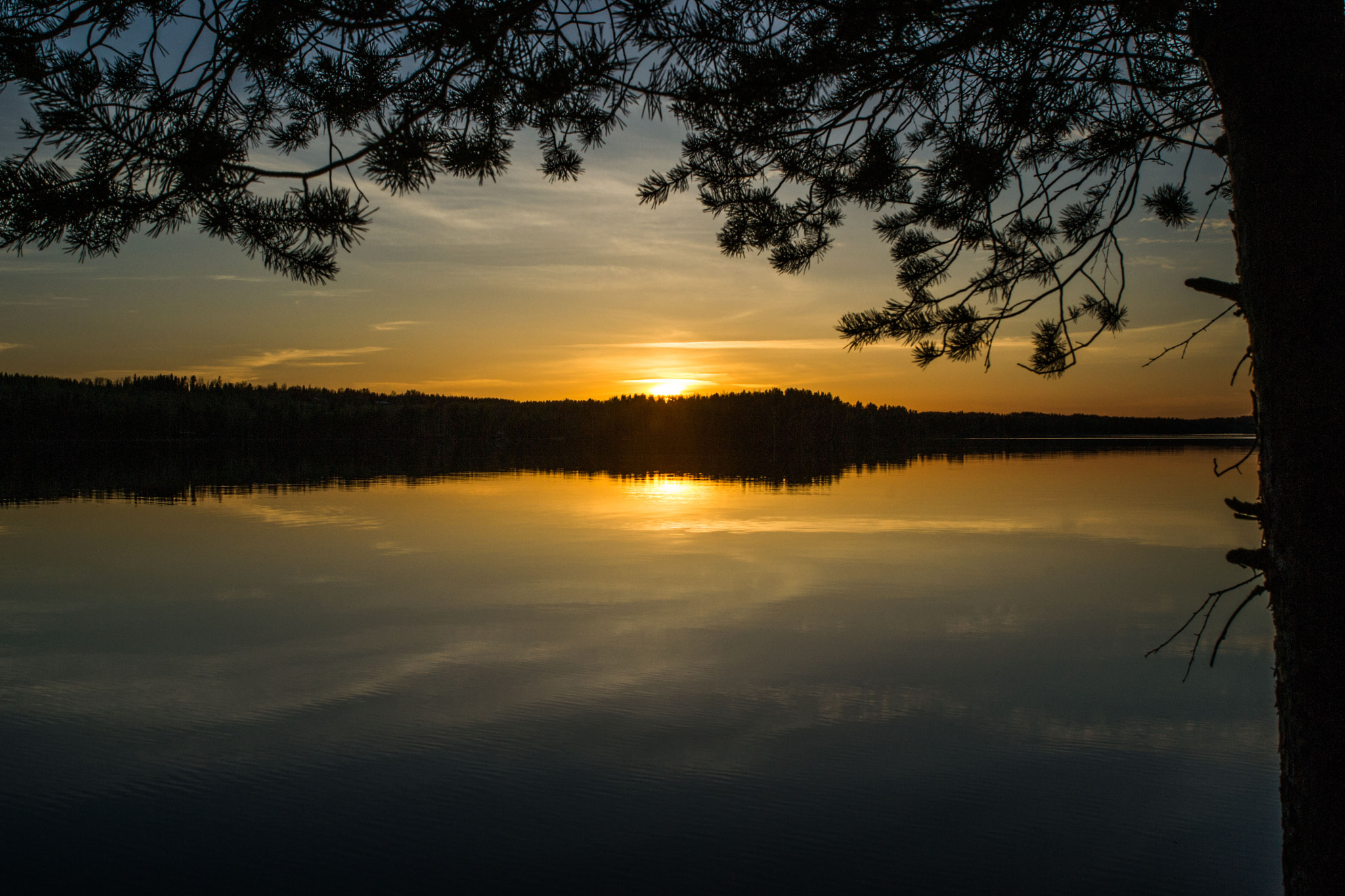 Nikon D3100 + Sigma 28-105mm F2.8-4 Aspherical sample photo. Kari muona px photography