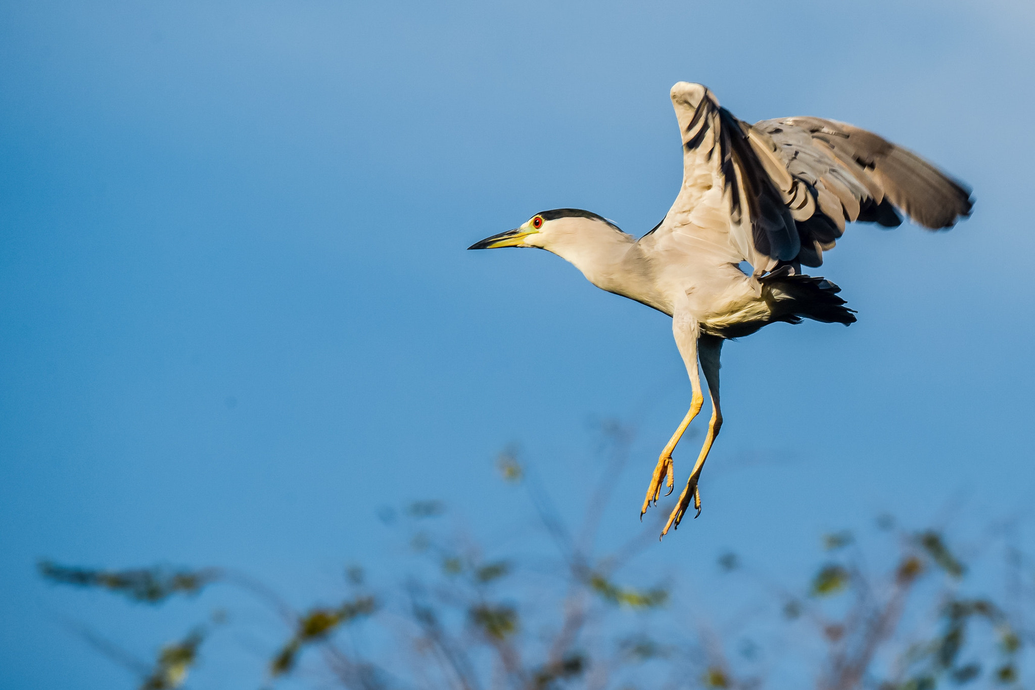 Nikon D600 sample photo. Jump photography