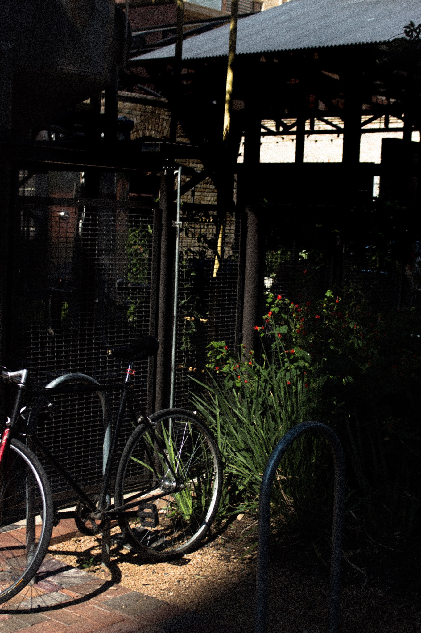 Canon EF 35-80mm f/4-5.6 sample photo