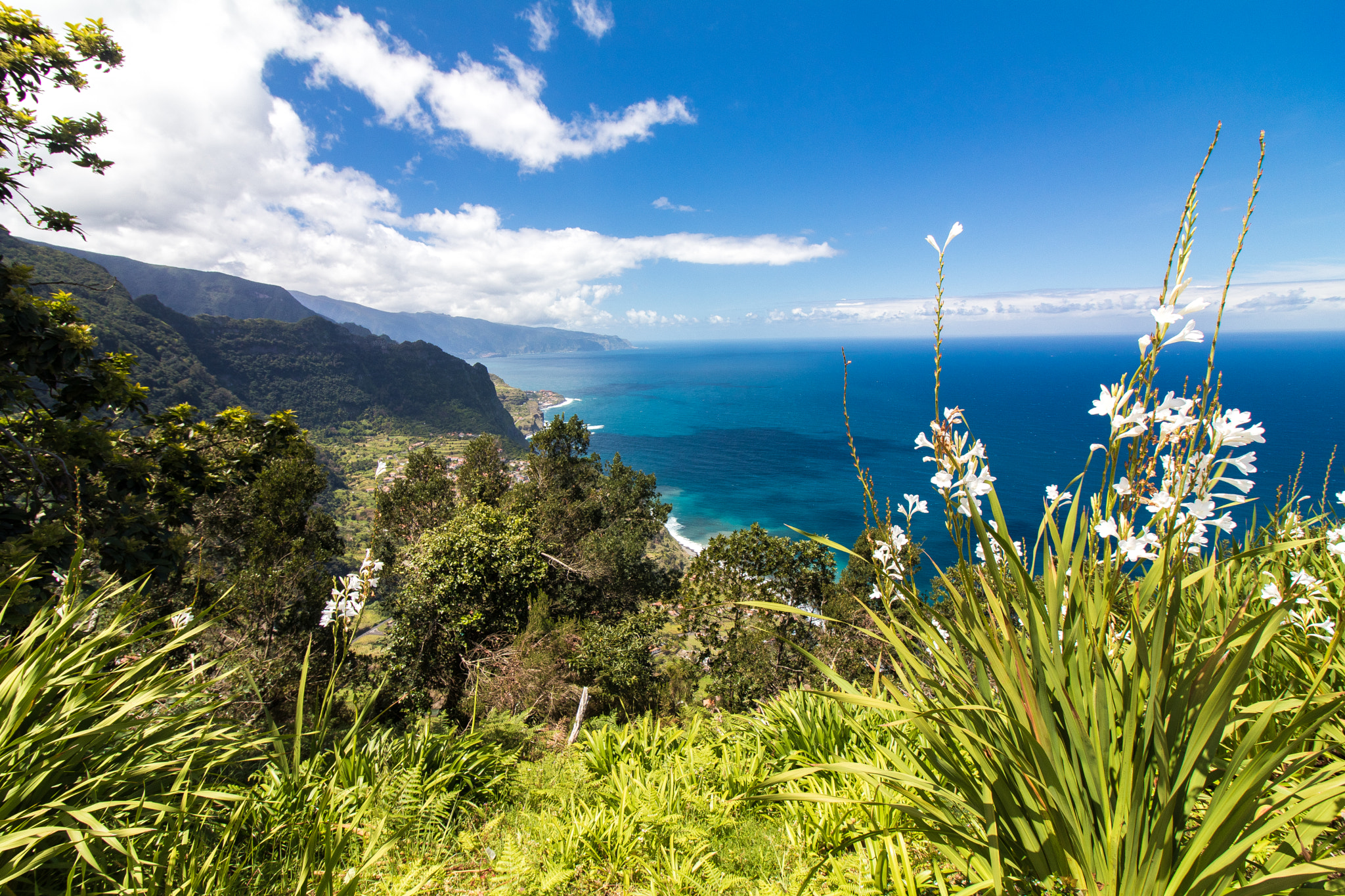 Canon EOS 80D + Canon EF-S 10-18mm F4.5–5.6 IS STM sample photo. Ocean view photography