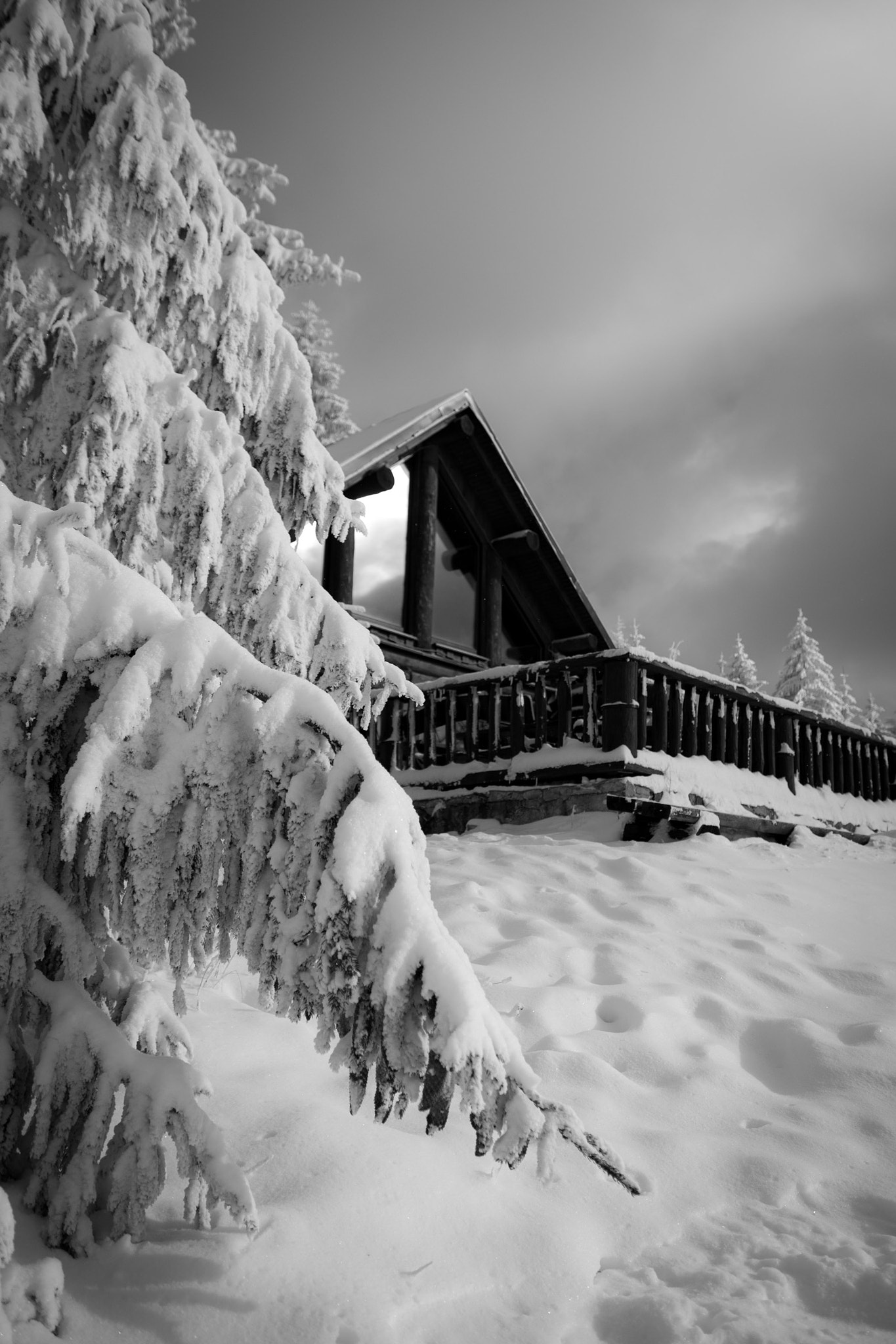 Nikon D750 + Sigma 18-35mm F1.8 DC HSM Art sample photo