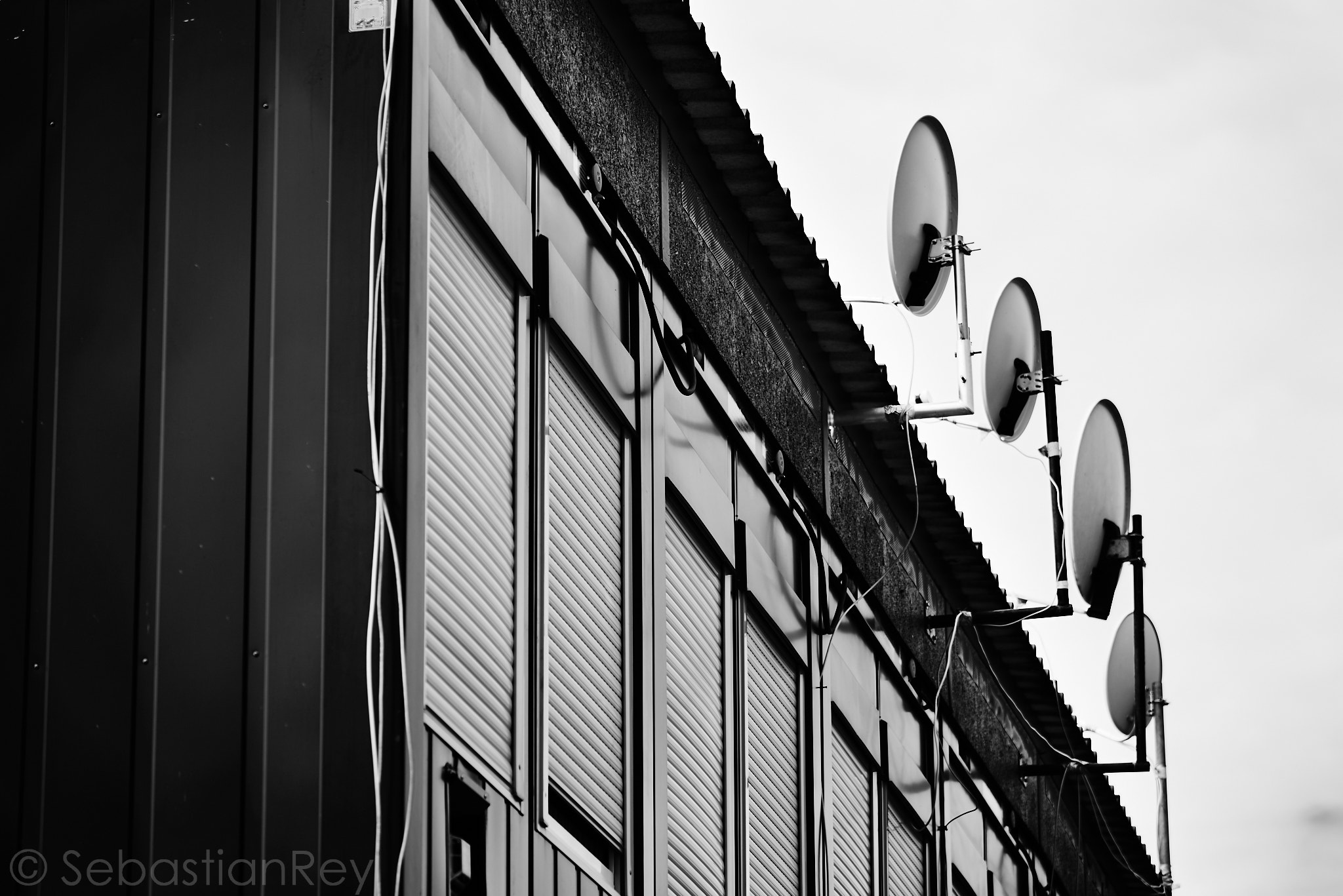 Tamron SP 70-300mm F4-5.6 Di USD sample photo. Information without borders photography
