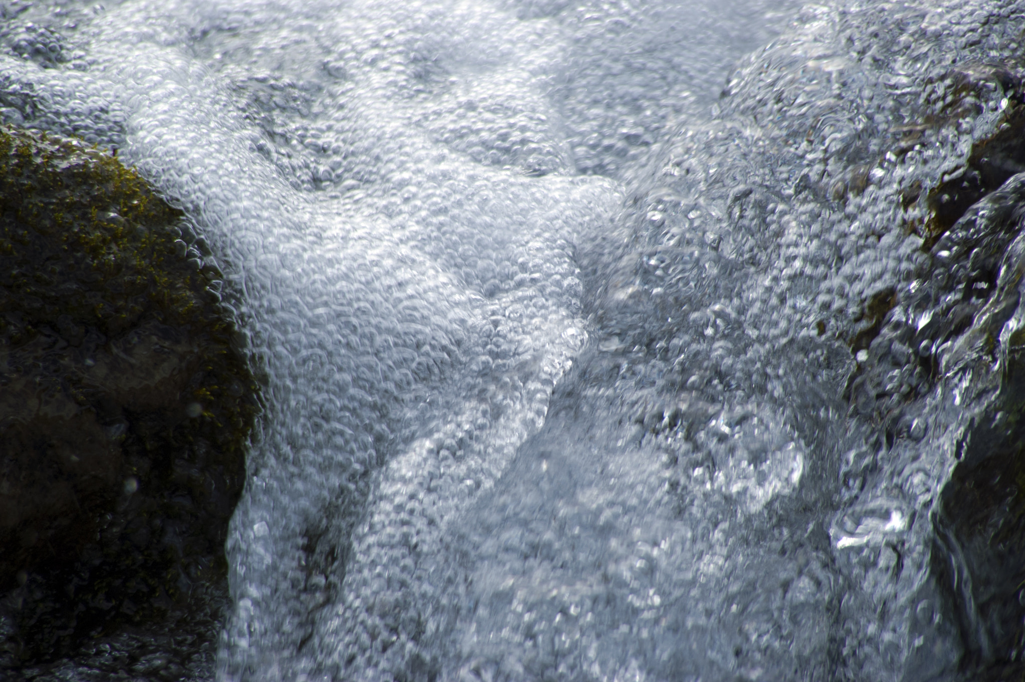 KONICA MINOLTA MAXXUM 5D sample photo. Bubbling with delight photography