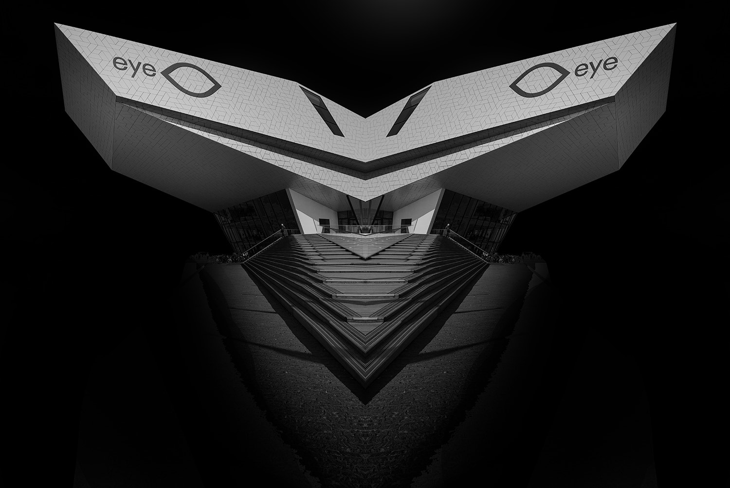 Tokina AT-X Pro 12-24mm F4 (IF) DX sample photo. Wings of illusion photography