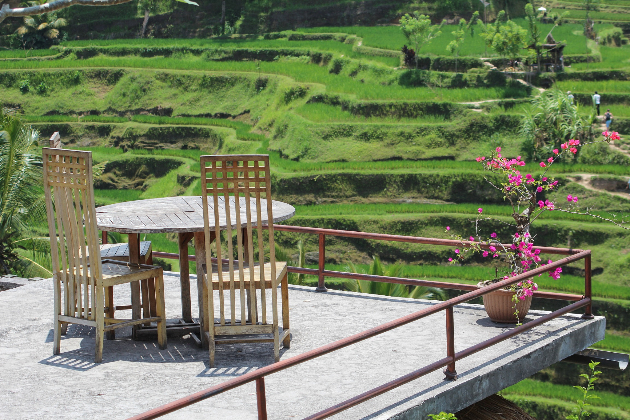 Canon EF 55-200mm F4.5-5.6 II USM sample photo. Bali - indonesia - balcony over eden photography