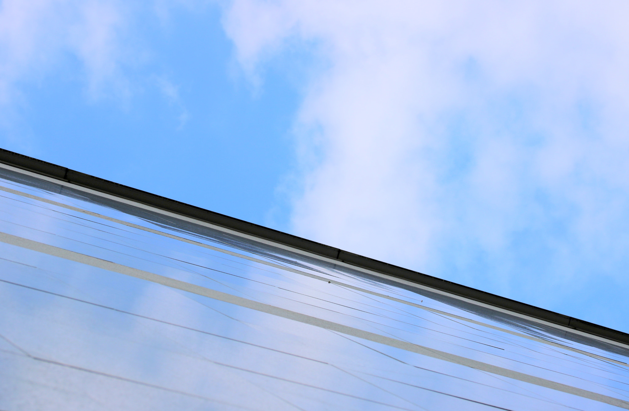 Canon EF-S 60mm F2.8 Macro USM sample photo. The sky on the wall photography