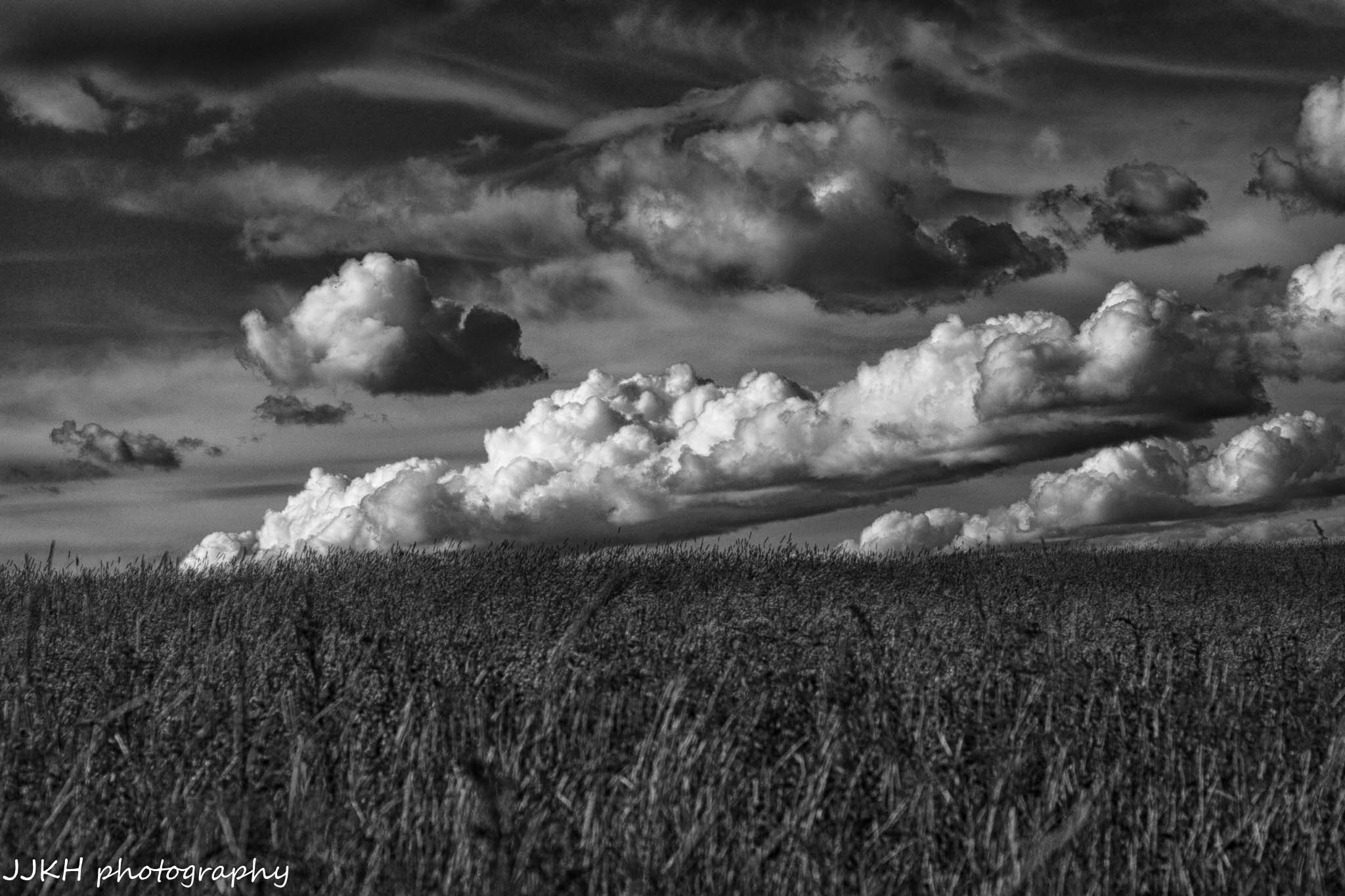 Canon EF 35-80mm f/4-5.6 sample photo. Cloudsandfieldpx photography