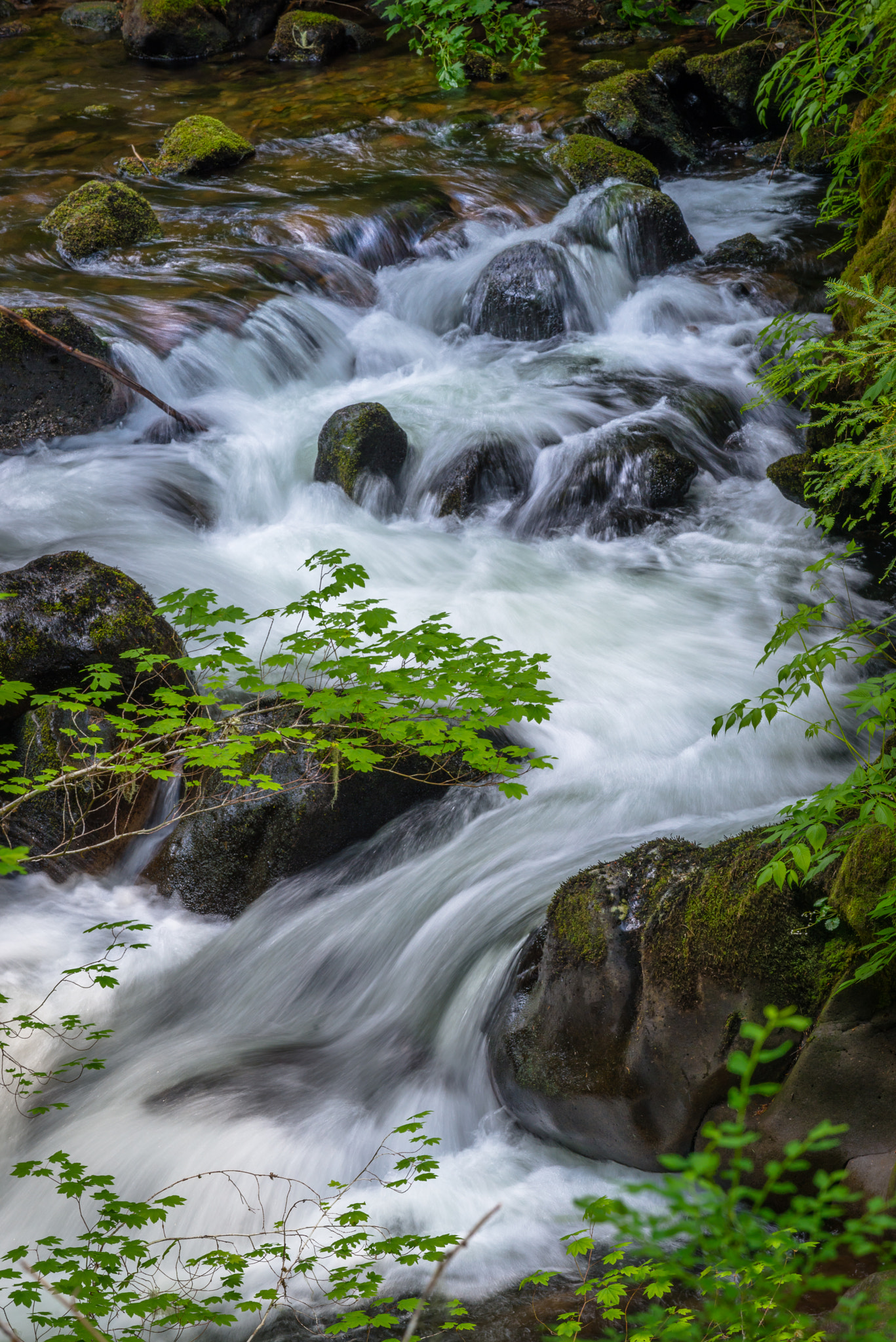 Nikon AF-S Nikkor 70-200mm F4G ED VR sample photo. Pacific northwest photography