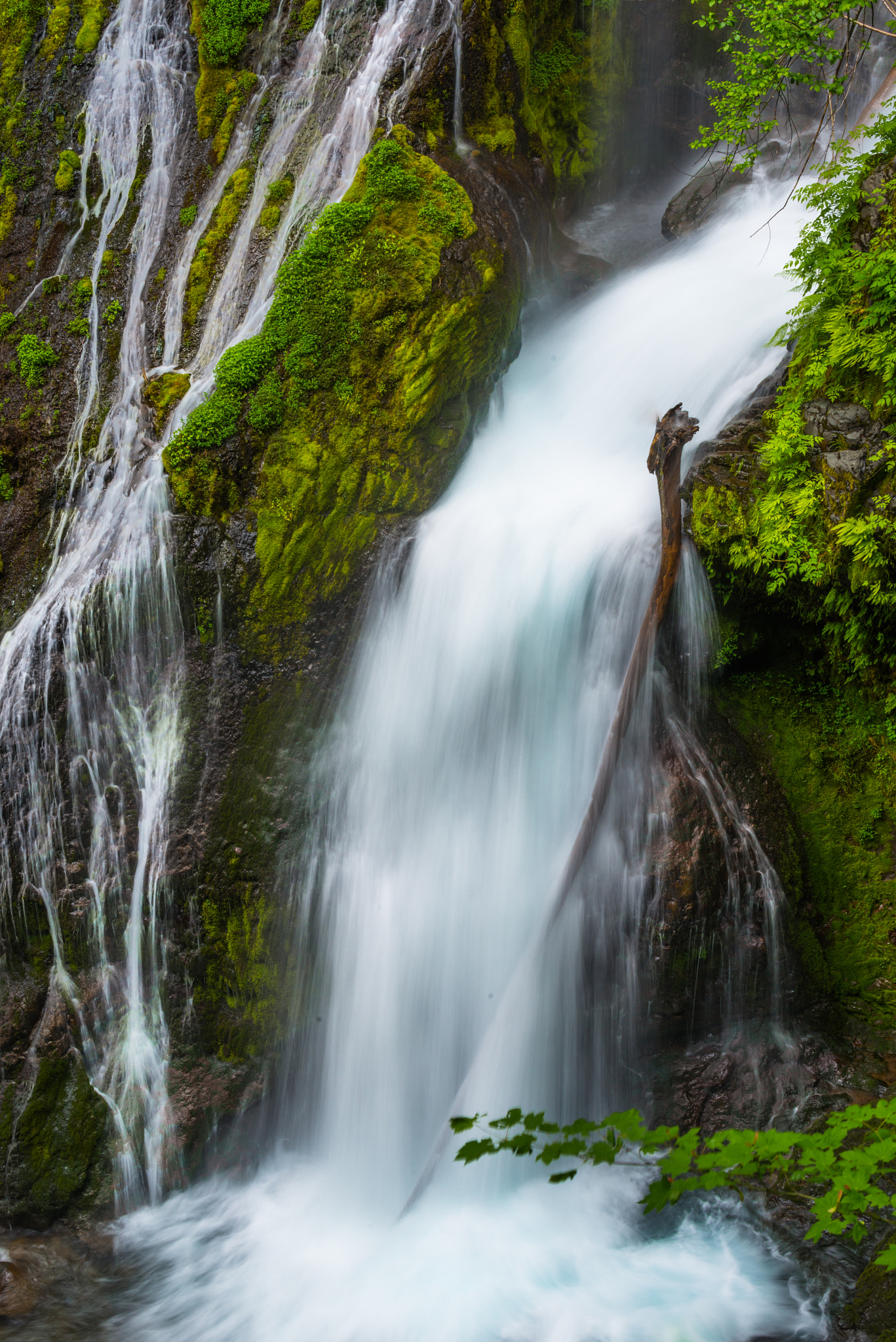 Nikon AF-S Nikkor 70-200mm F4G ED VR sample photo. Pacific northwest photography