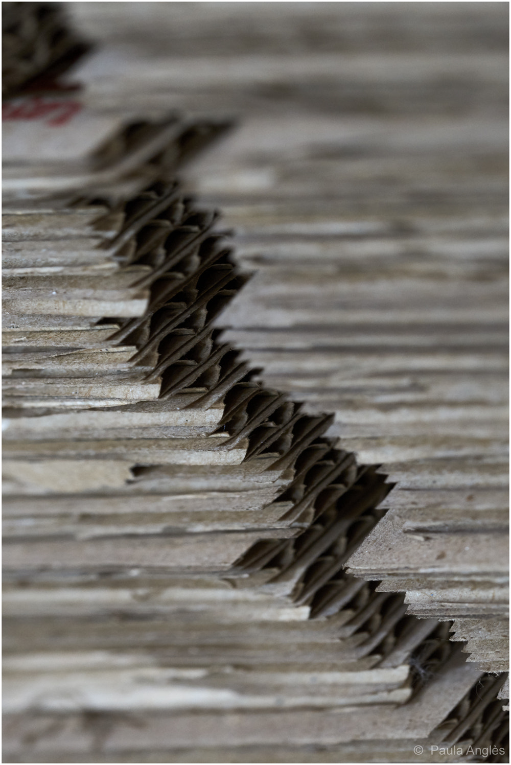 Sony a99 II + 90mm F2.8 Macro SSM sample photo. Cardboard inside usine 1897 photography