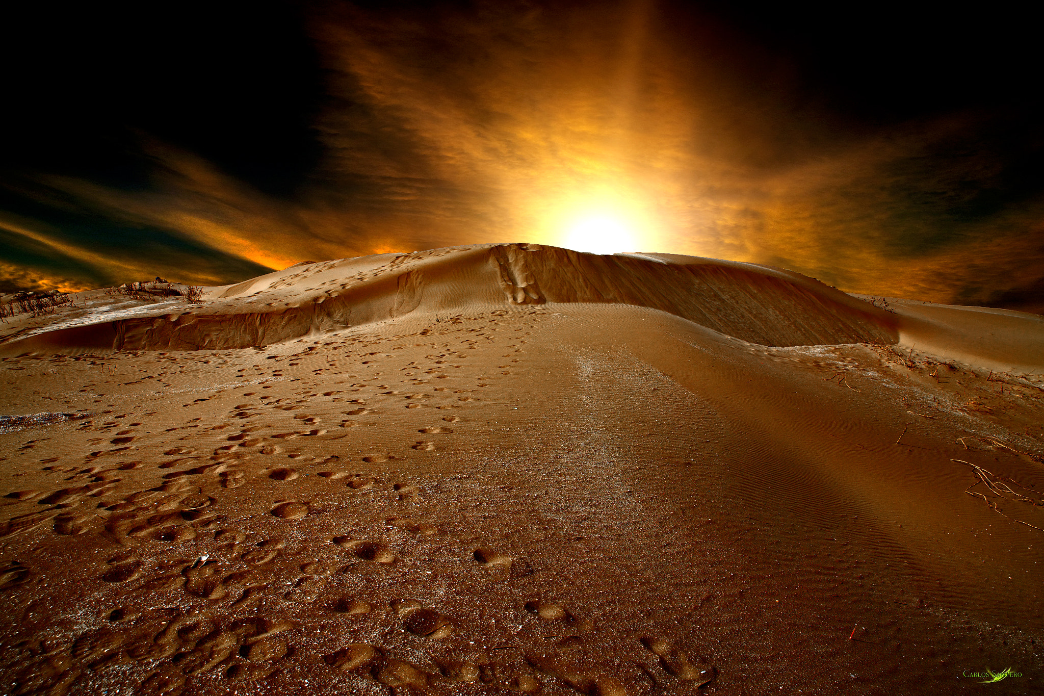 Sigma 24-70mm F2.8 EX DG Macro sample photo. Footsteps in the sand photography