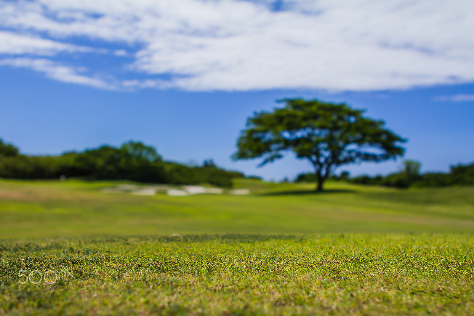 Canon EOS 550D (EOS Rebel T2i / EOS Kiss X4) sample photo. Green landscape photography