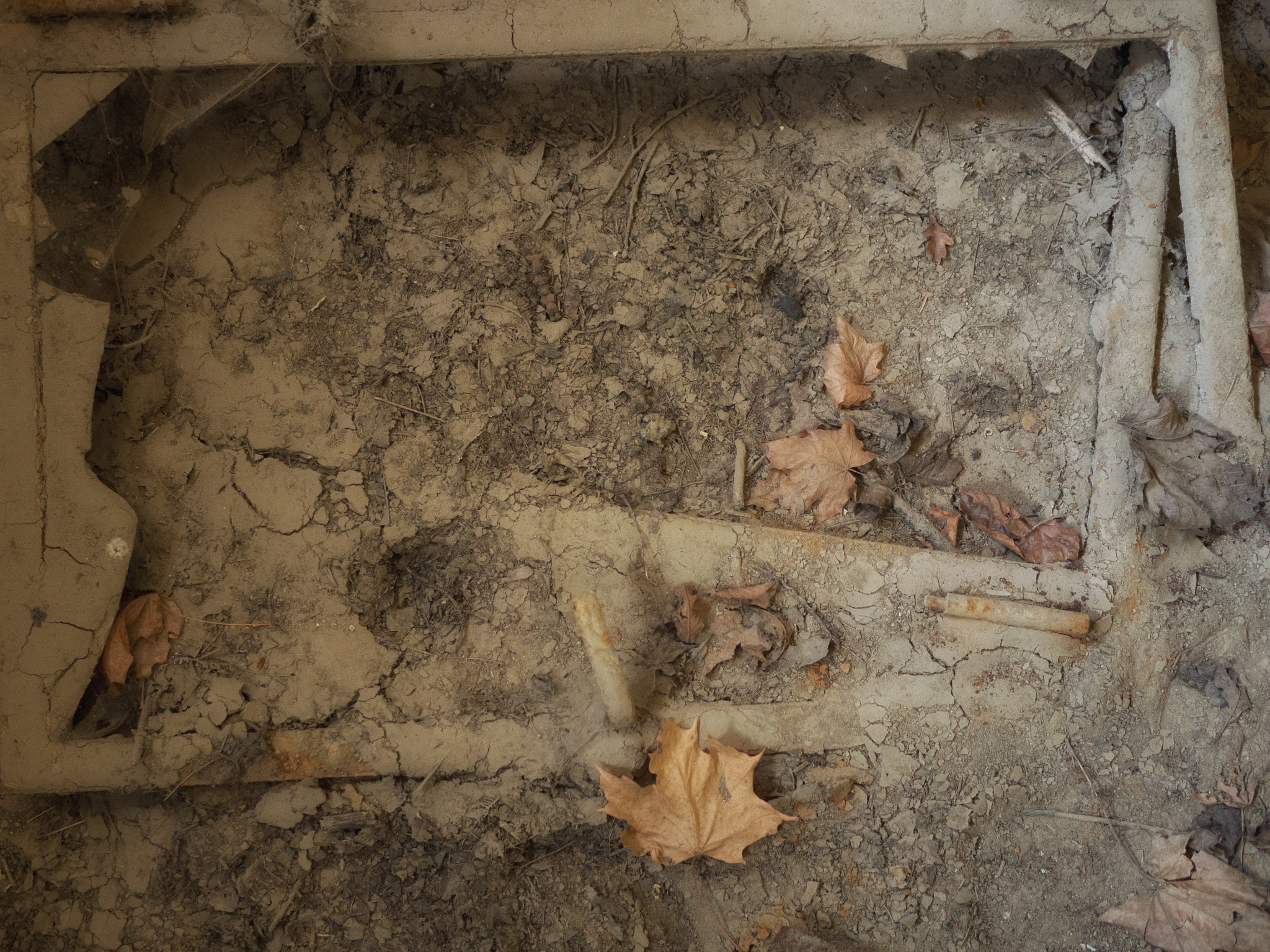 Olympus OM-D E-M10 II + LUMIX G 25/F1.7 sample photo. Urbex photography