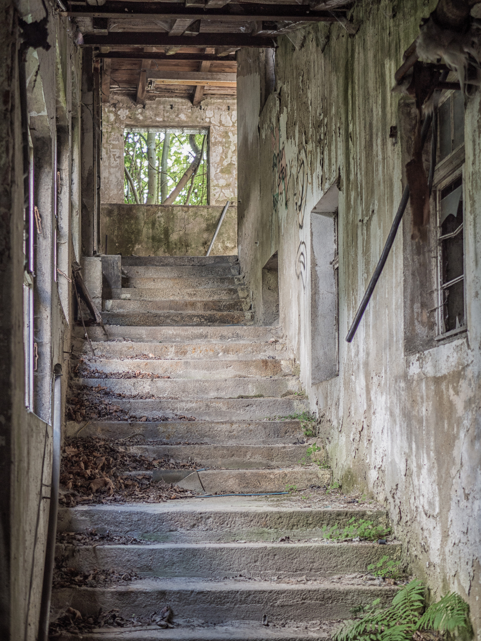 Olympus OM-D E-M10 II + LUMIX G 25/F1.7 sample photo. Urbex photography