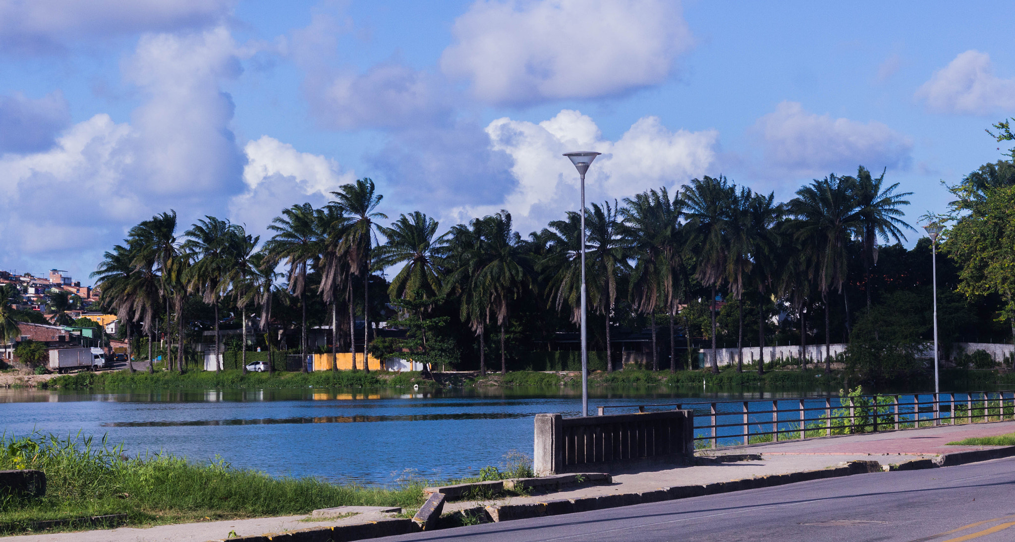 Canon EOS 700D (EOS Rebel T5i / EOS Kiss X7i) + Canon EF 50mm F1.8 II sample photo. Brazilian summer. photography